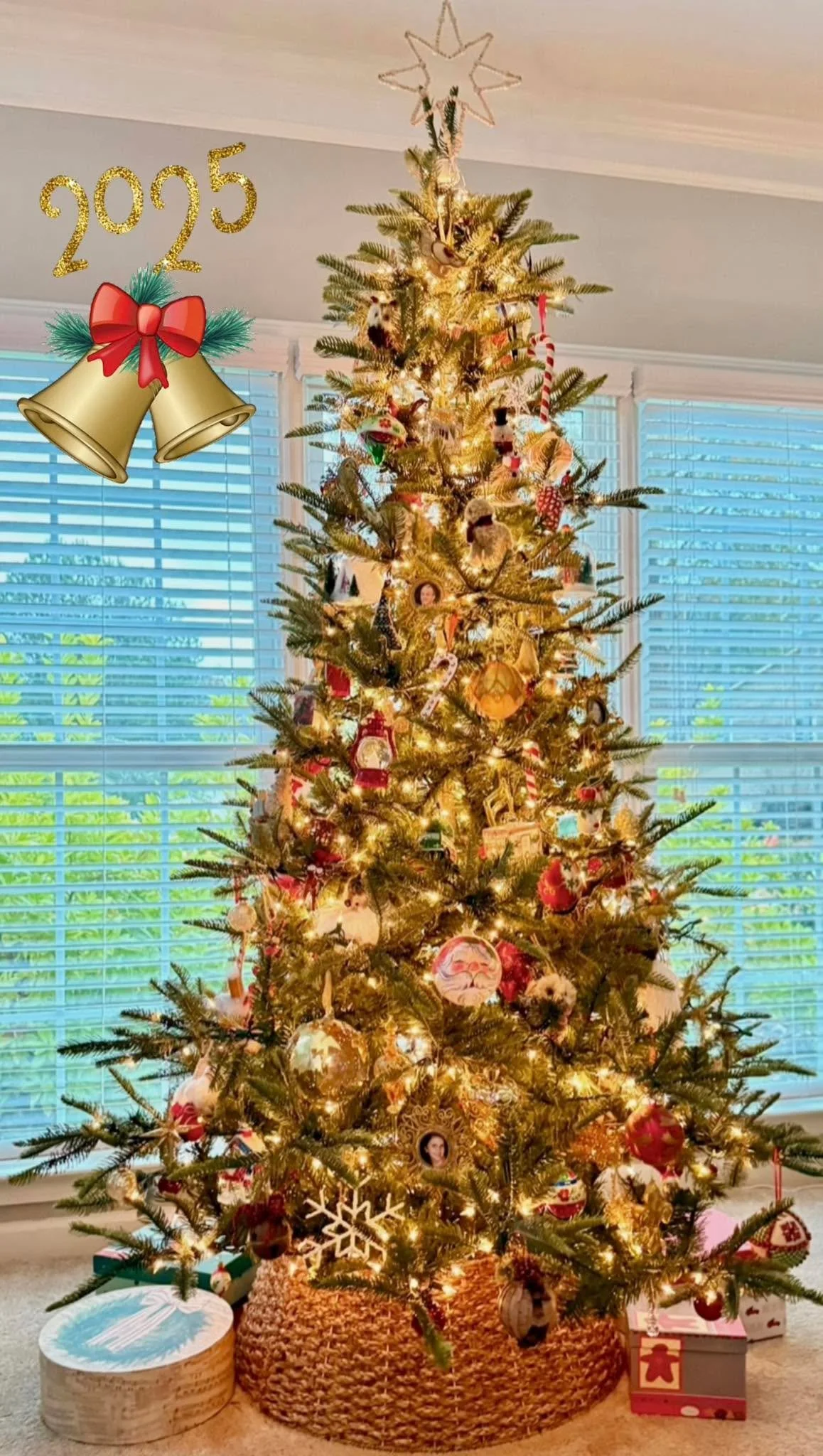 One Christmas, not very long ago, a &ldquo;friend&rdquo; was invited into my home, looked at my tree and said, &ldquo;oh, it&rsquo;s like a homemade tree&hellip;&rdquo; I just laughed and said, &ldquo;yes, that is 30 plus years of my adult life on th