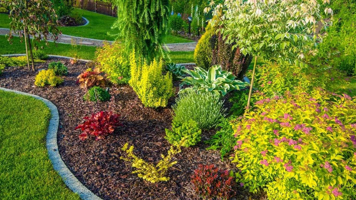 modern-landscape-architecture-redmond-wa.jpg