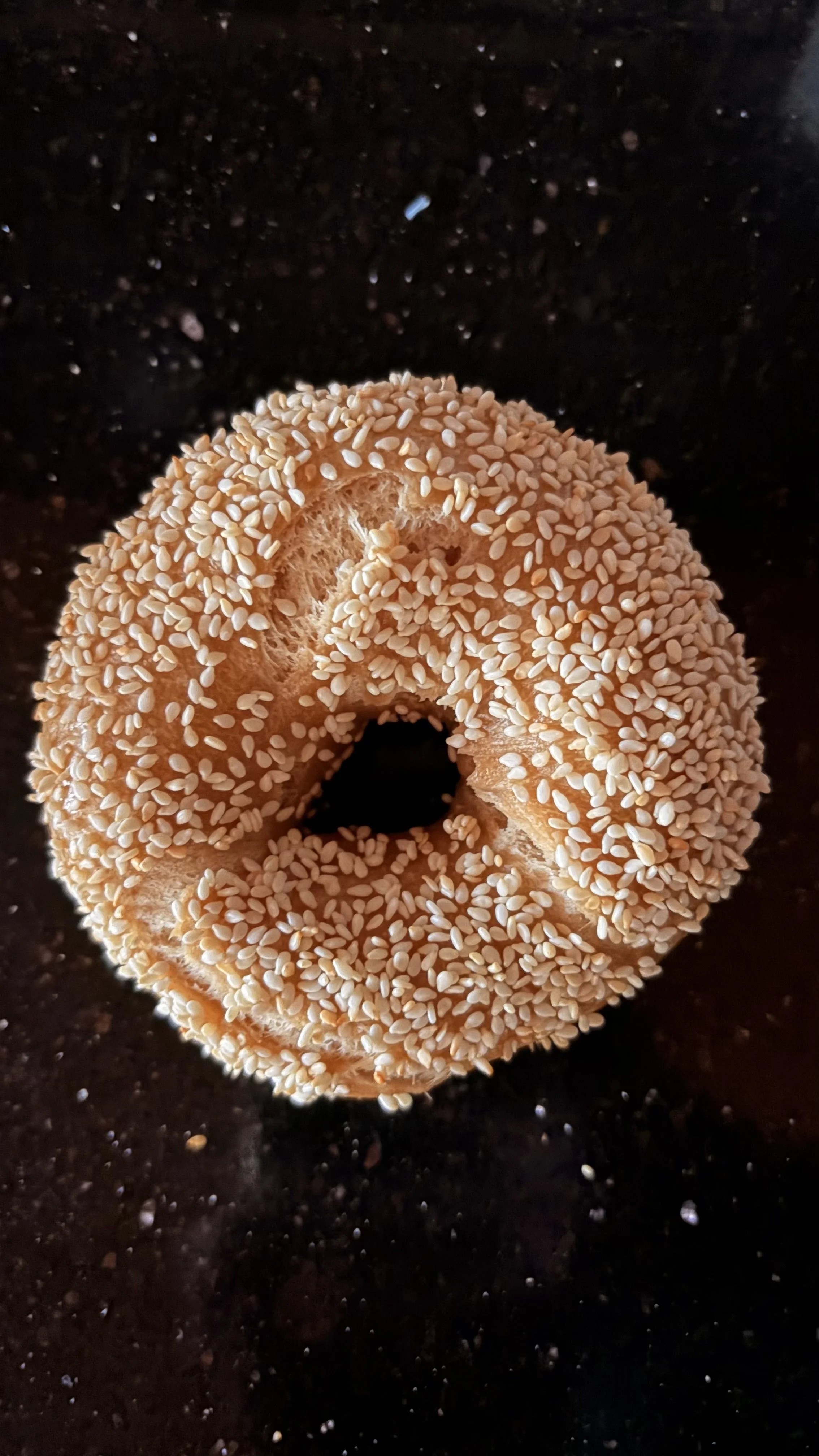Sesame Bagel.jpeg