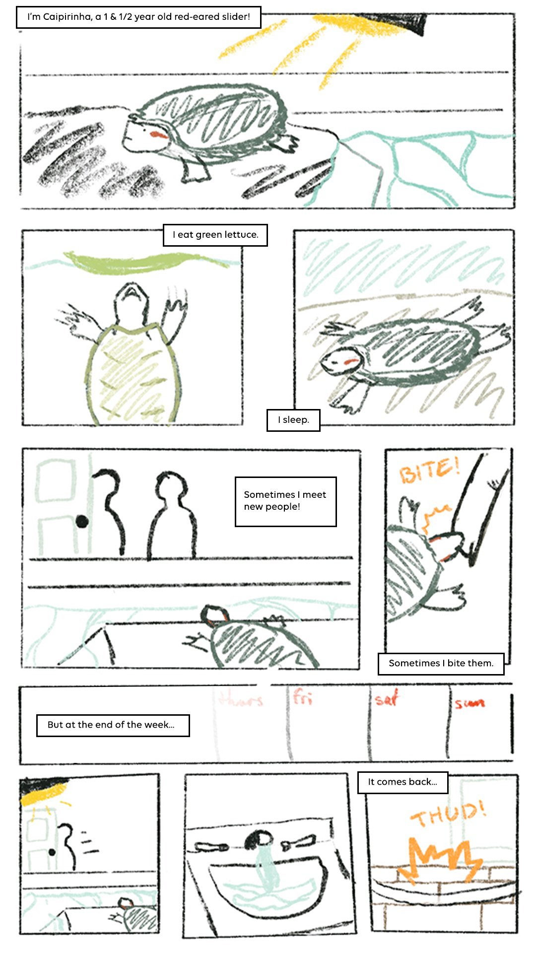 A comic strip featuring a small red-eared slider turtle named Caipirinha. The turtle describes itself, eats green lettuce, sleeps, sometimes meets new people, and occasionally bites them, especially at the end of the week, before the turtle's shell gets knocked on with a loud sound.