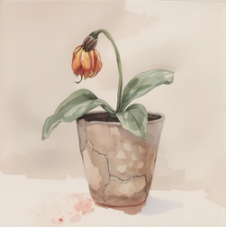 Gratis Infosessie Online: Burn-out