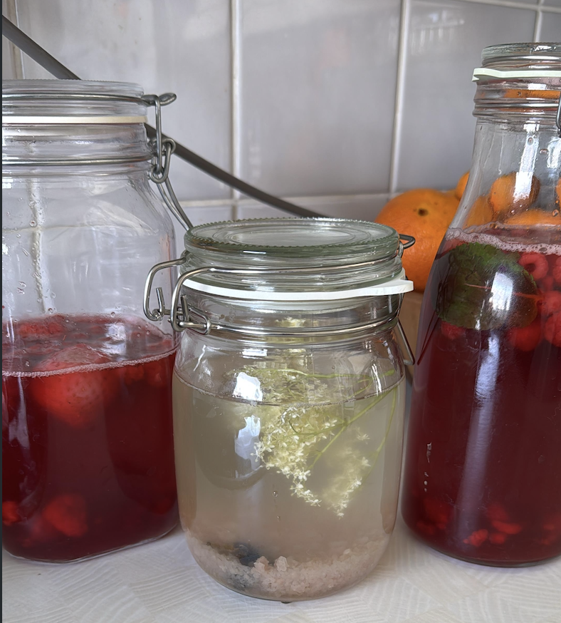 Gefermenteerde dranken