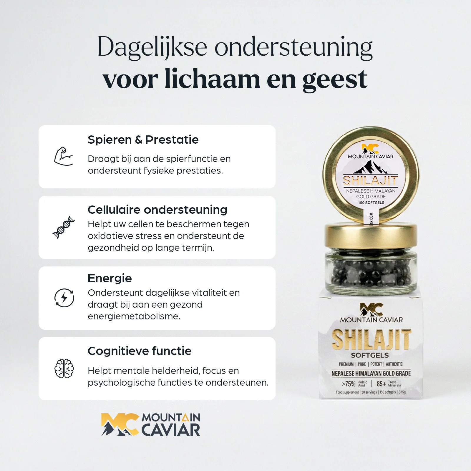 WhatsApp Image 2026-02-12 at 09.52.04.jpeg