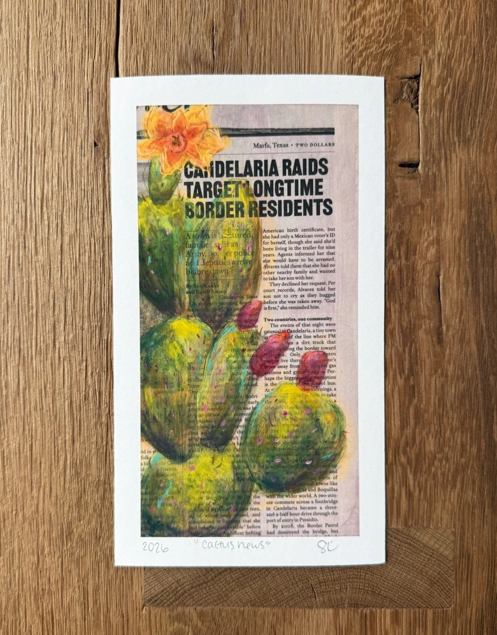 cactus news with border.jpg