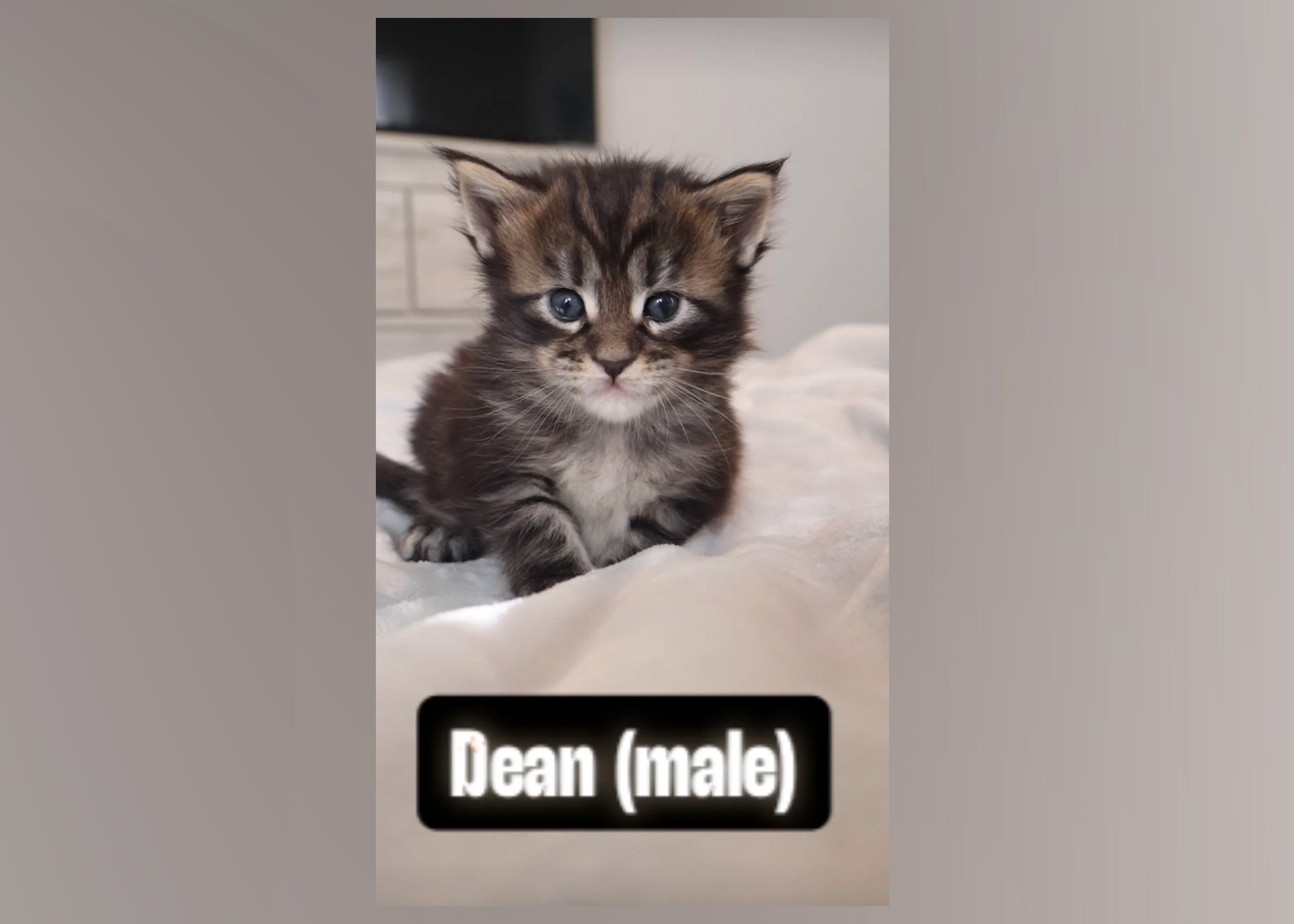 dean.jpg