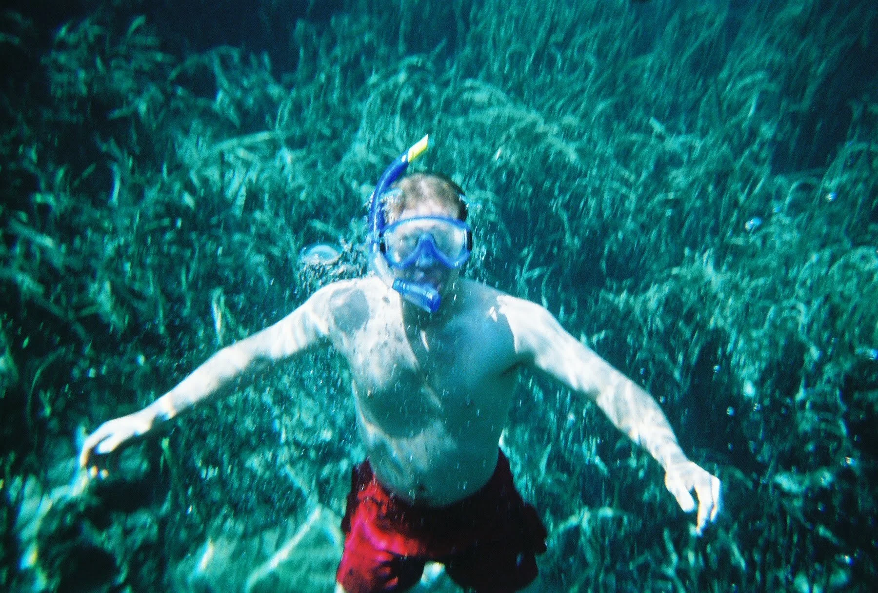 dad swim 2.JPG