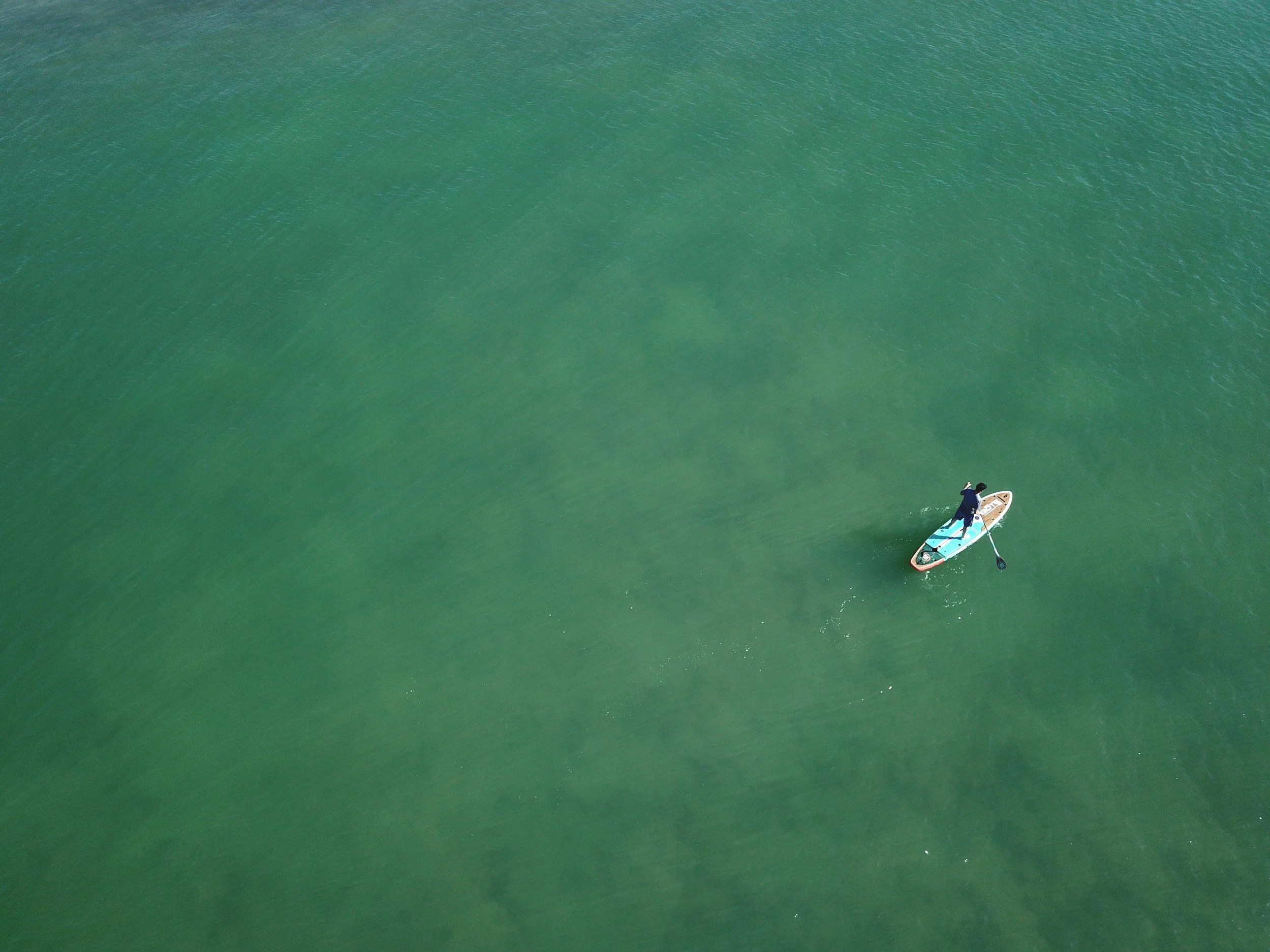 Overhead view of a person stand-up paddleboarding on calm, green water.