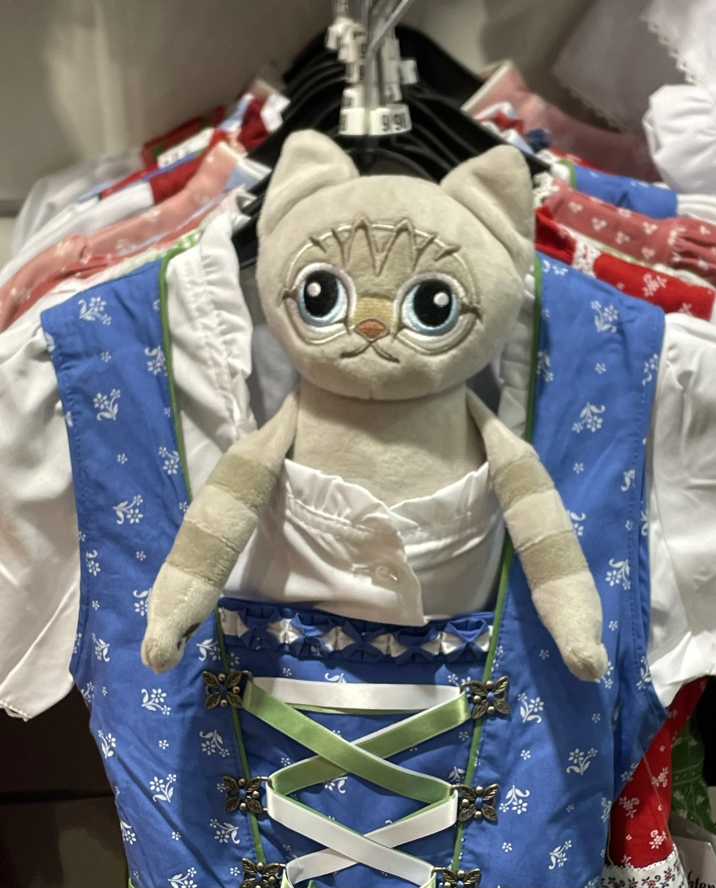 IMG_8017.jpeg