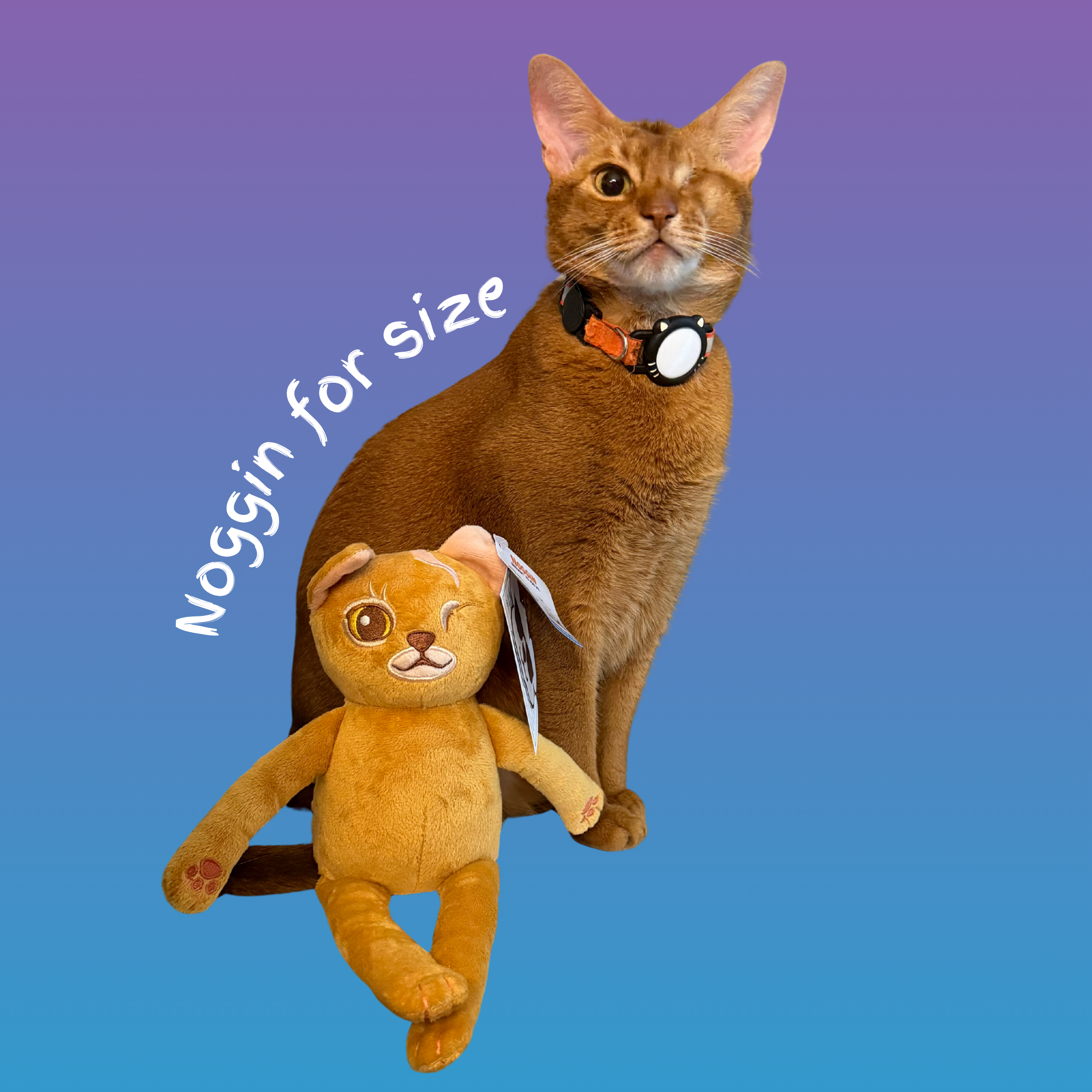 Noggin Plush