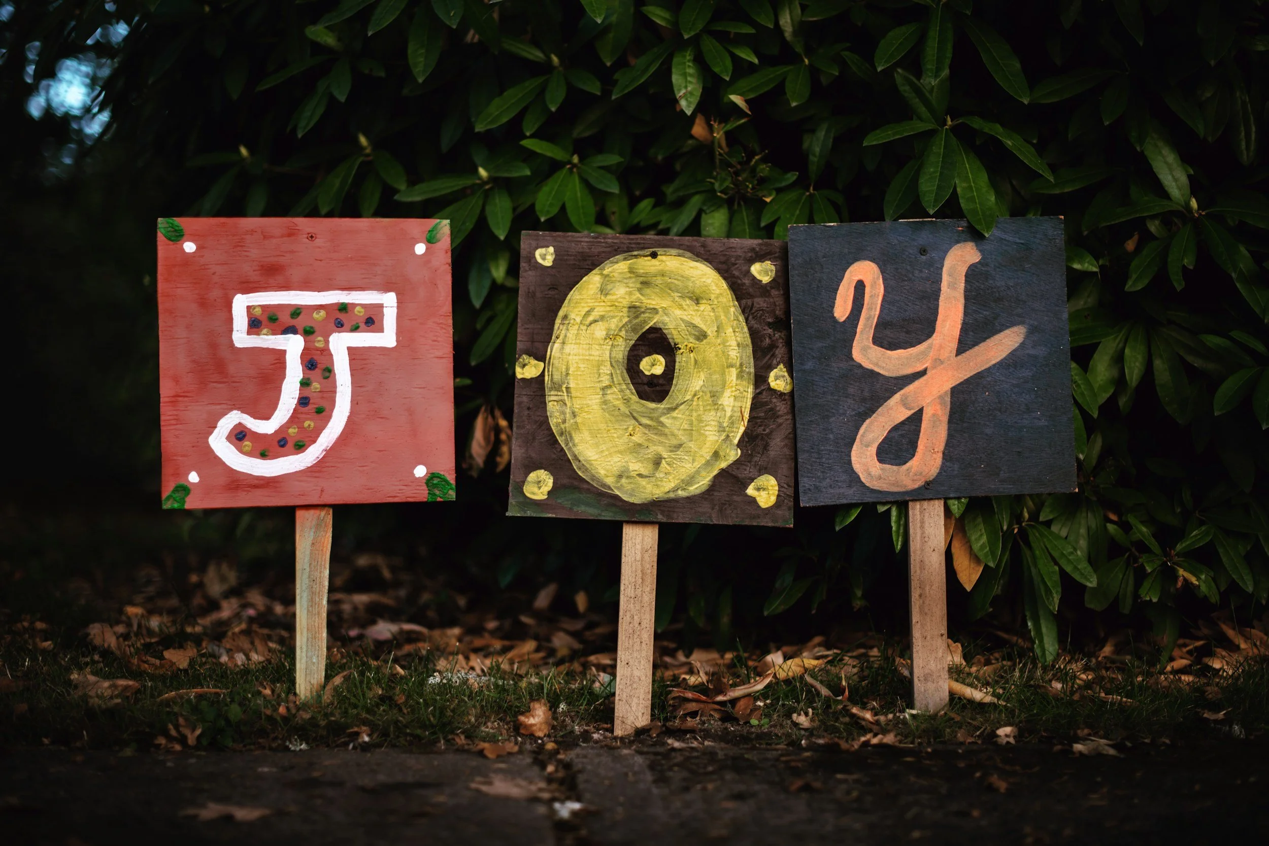The Healing Power of Joy: How Happiness and Bliss Reduce Stress