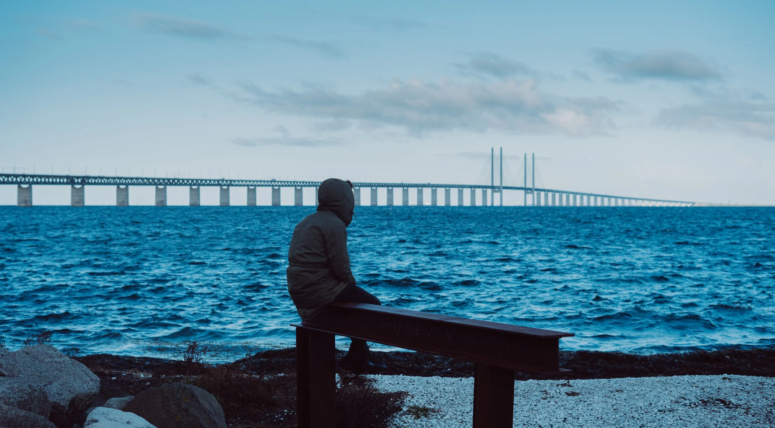 Scenario #1: Employers v Job Applicants