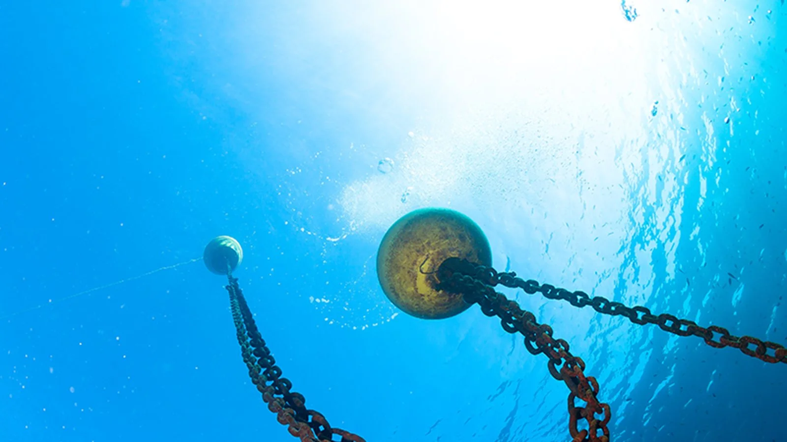 A deep dive - the hazard of business systems