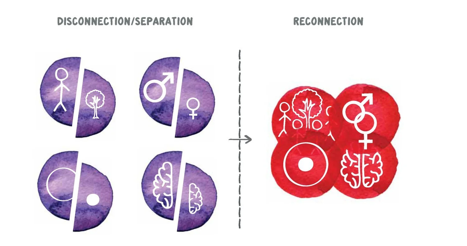 The+journey+of+separation.jpeg