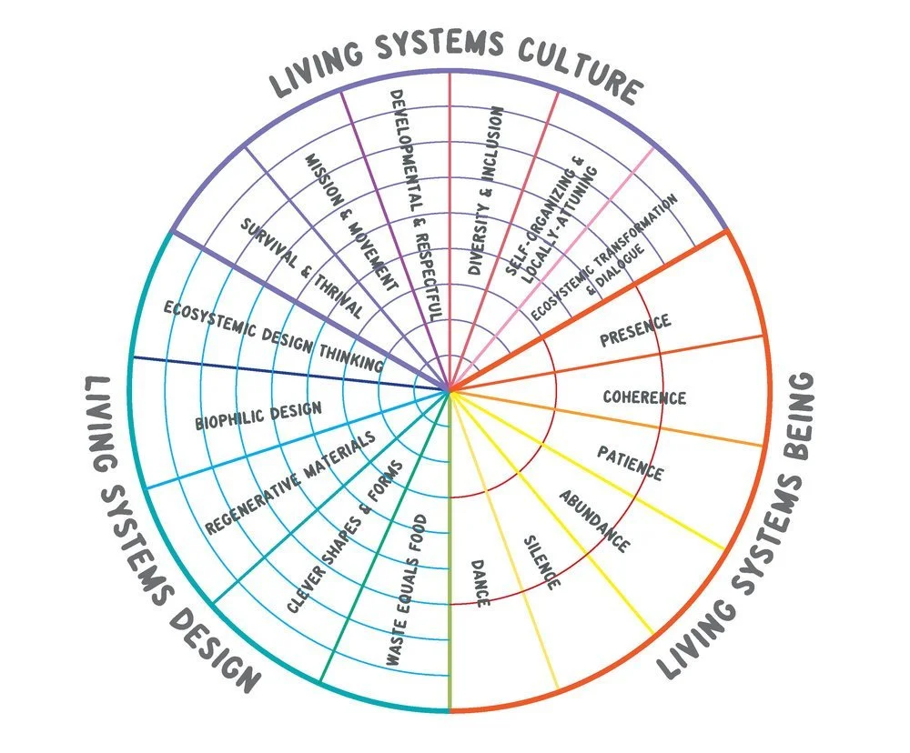 THE+WHEEL+BLANK+TEMPLATE.jpeg