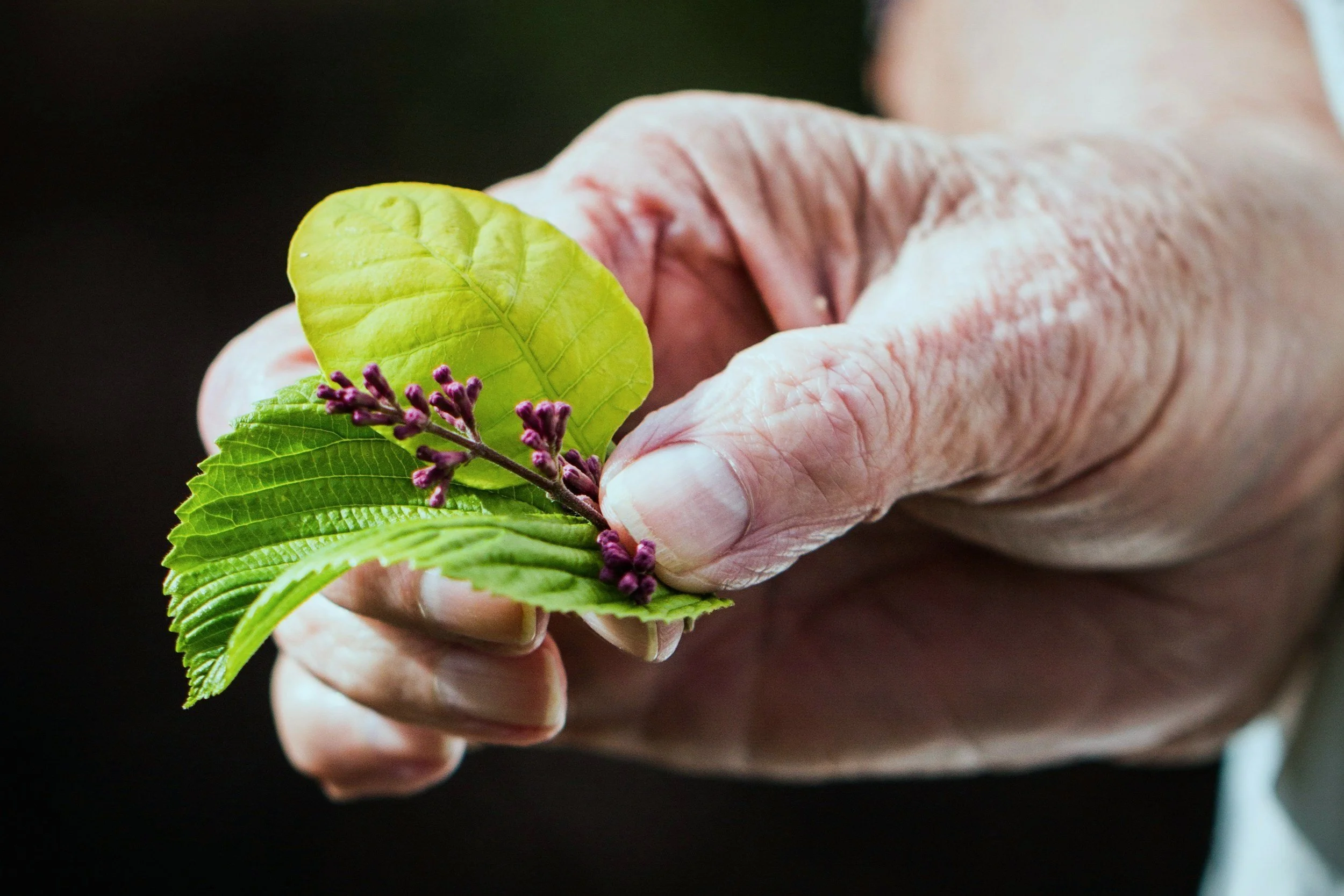 SERVICES | Explore Your Options — AUTONOMY HEALTH