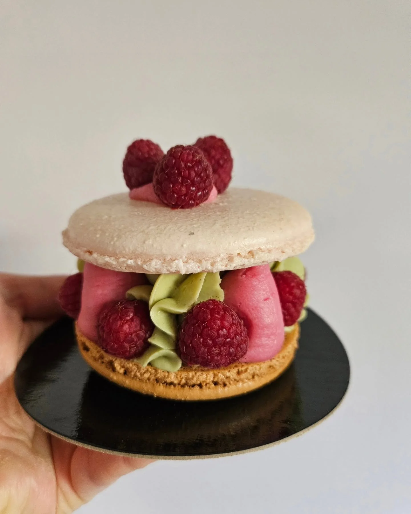 Large French Macs.jpg
