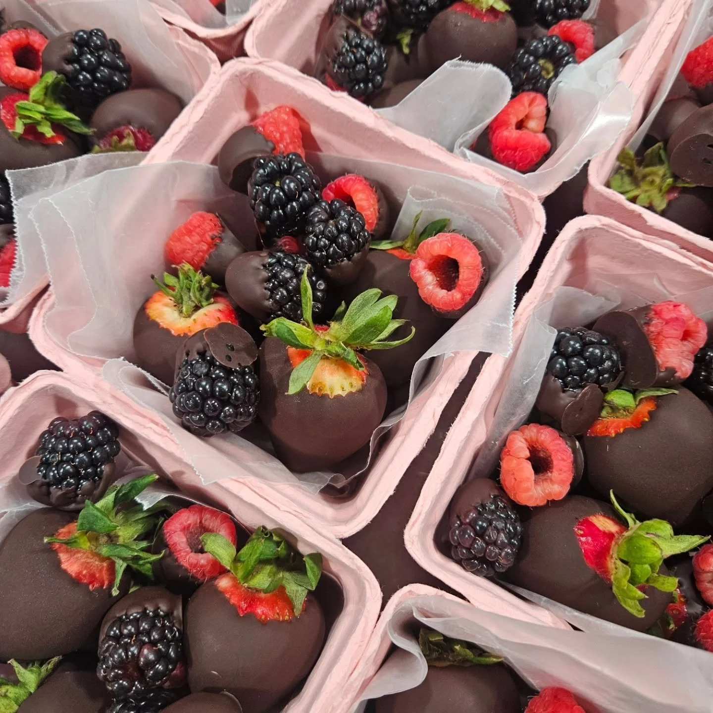 Chocolate Dipped Berry Baskets