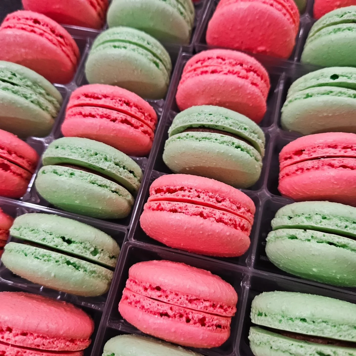 Red & Green Macarons.jpg