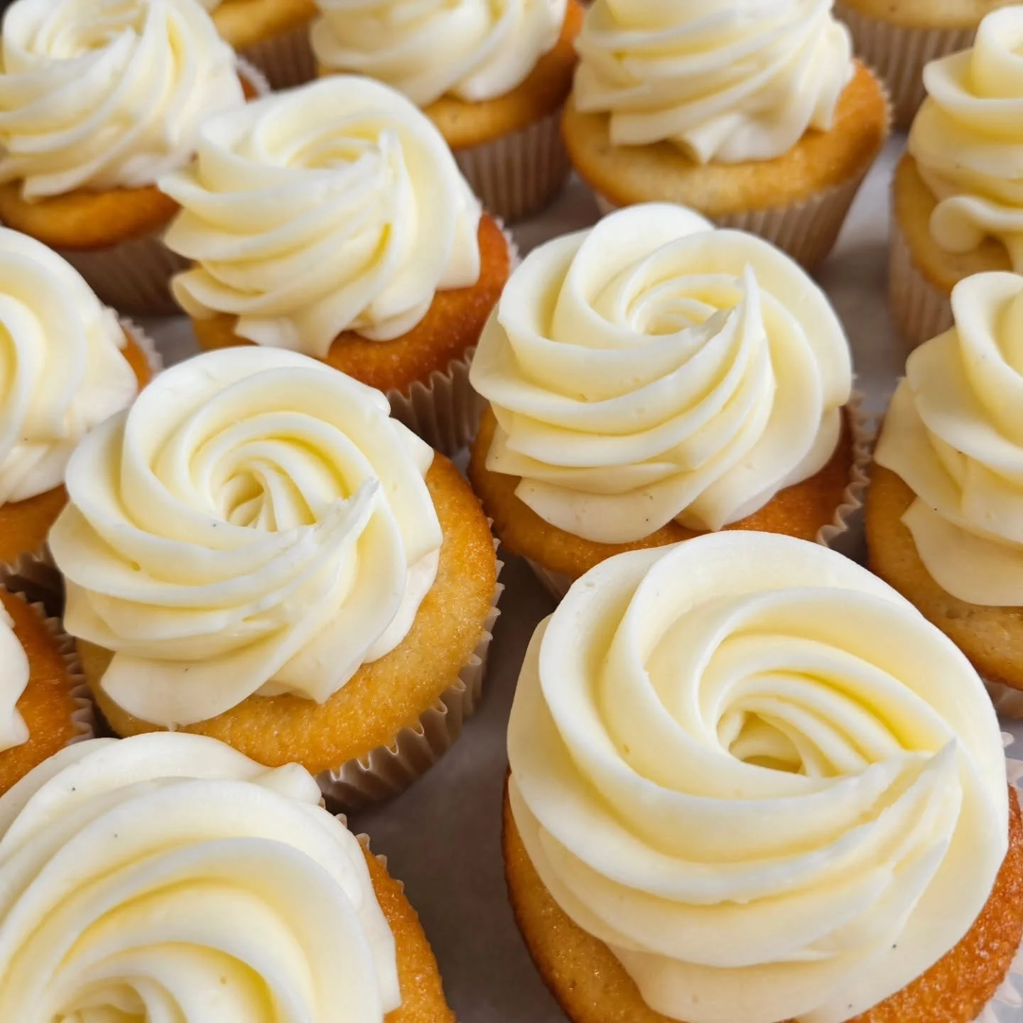 Vanilla Cupcakes.jpg