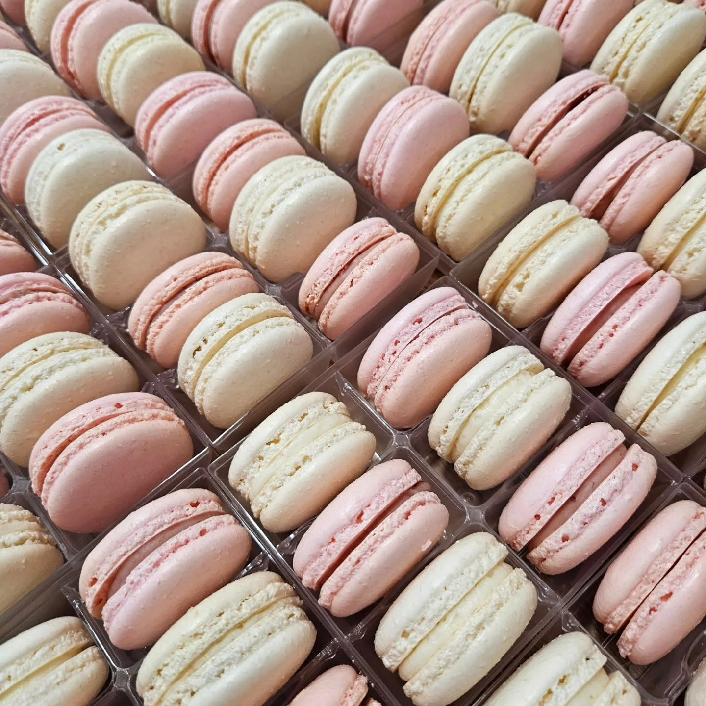 Pink White French Macarons.jpg