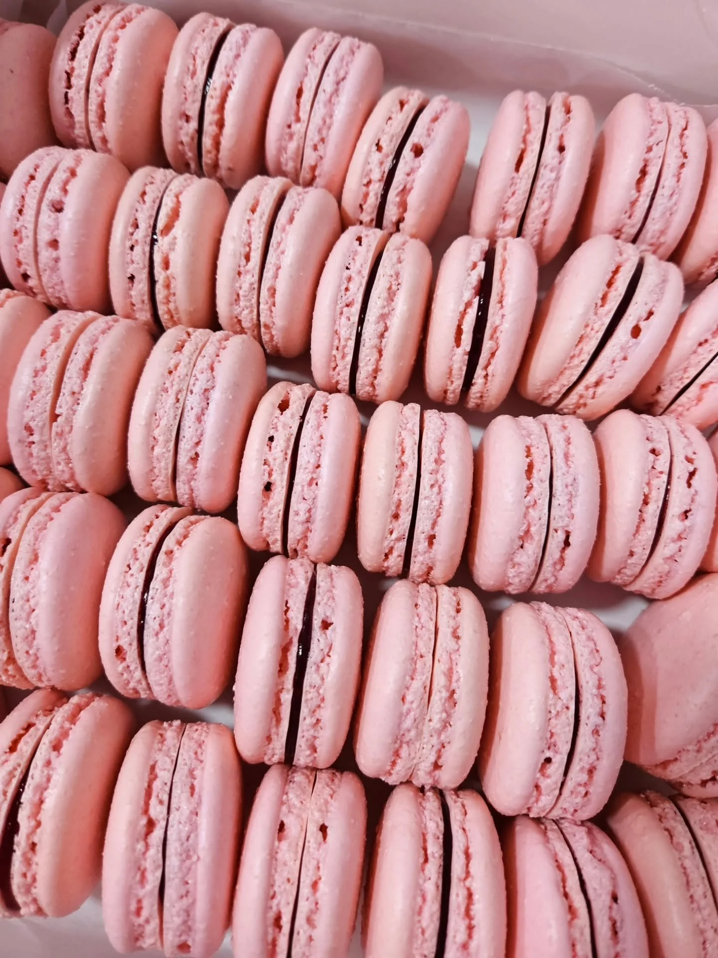 Raspberry Macarons.jpg