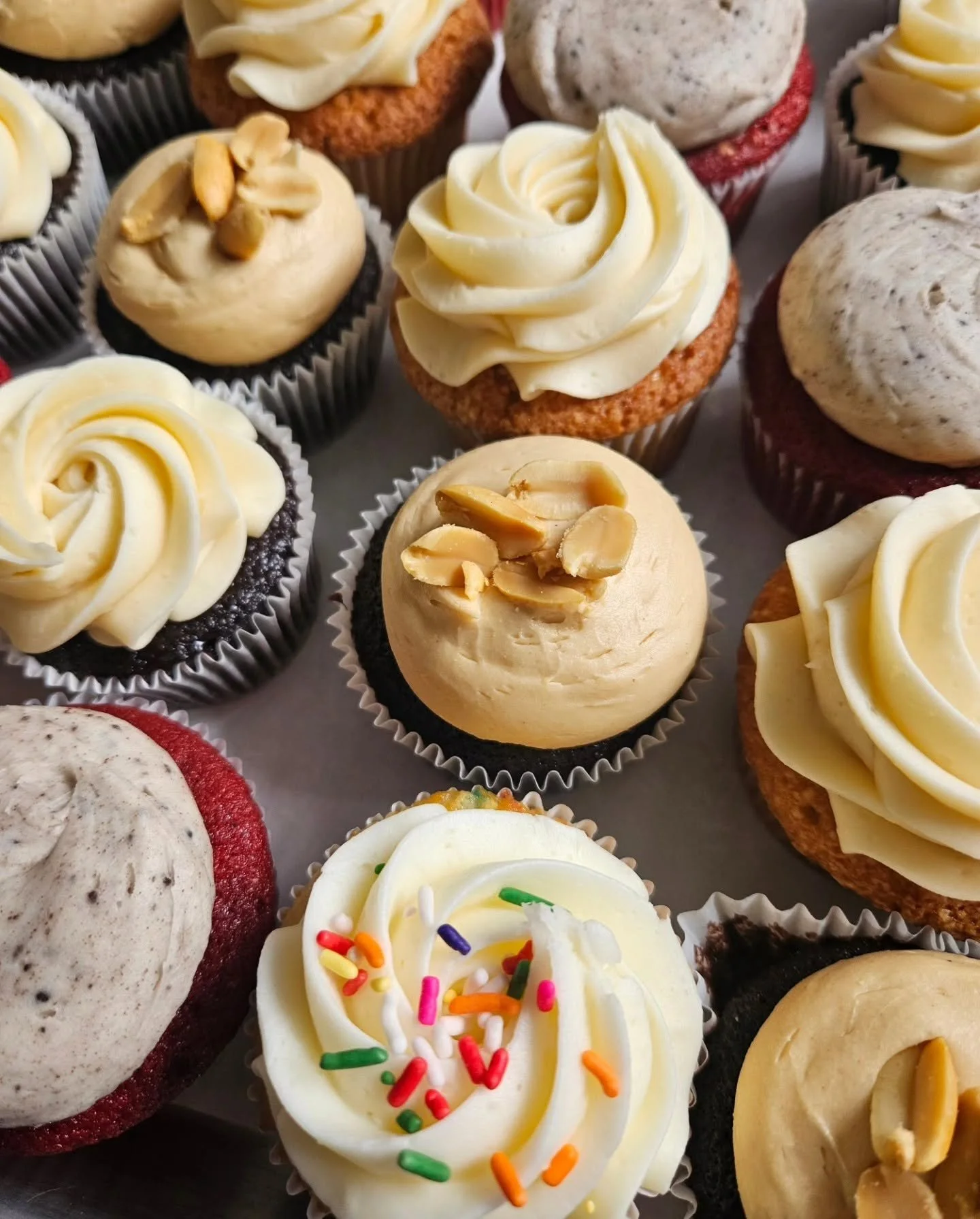 Assorted Cupcakes1.jpg