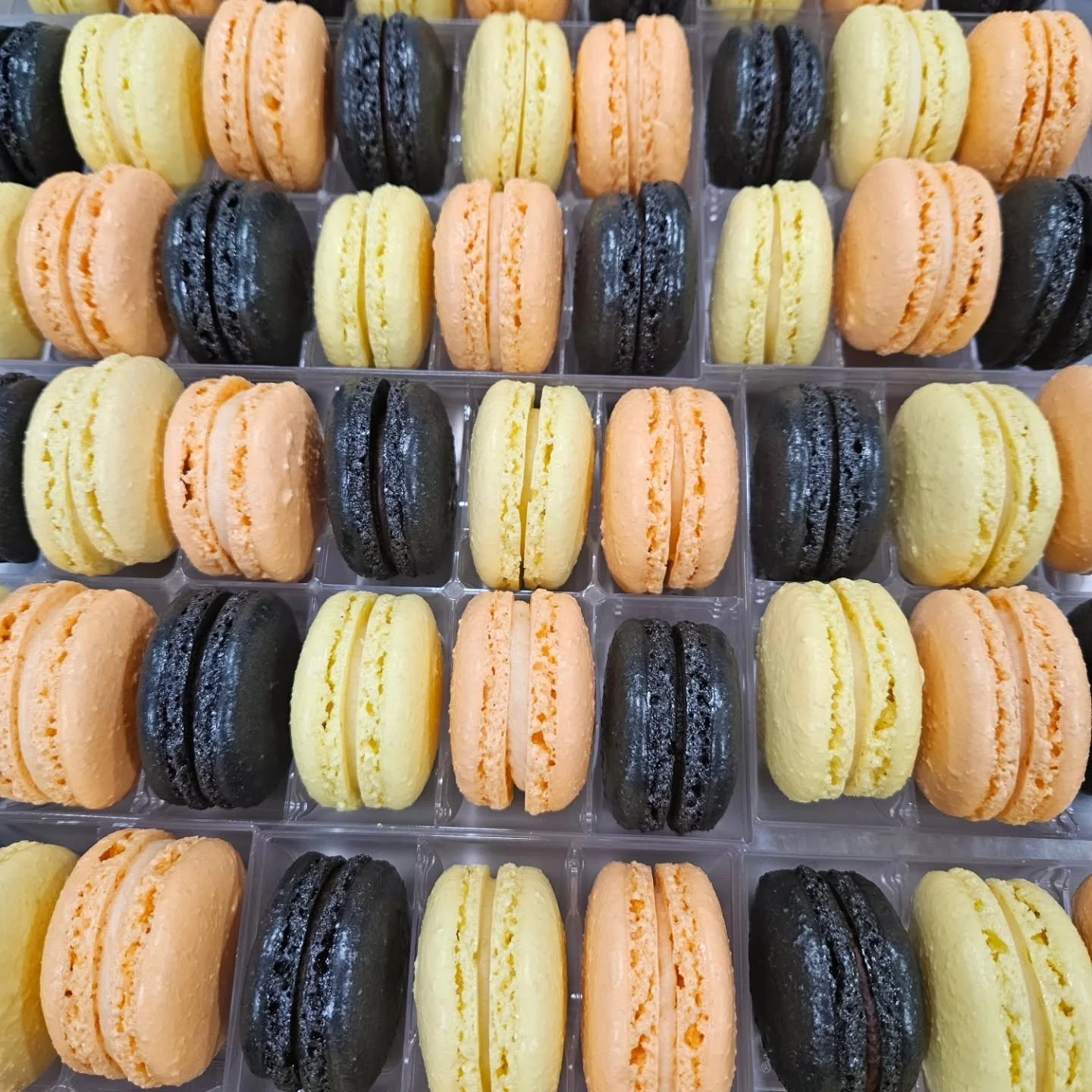 MAcarons 1.jpg