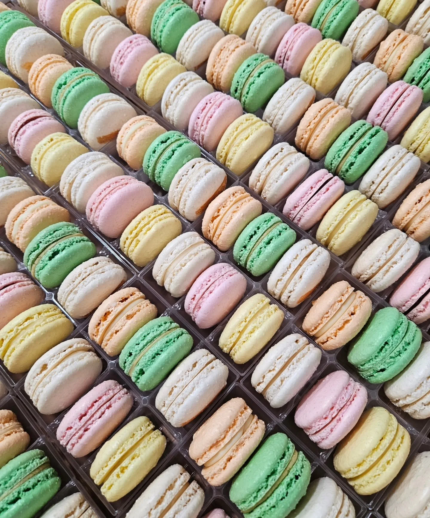 French Macarons2.jpg