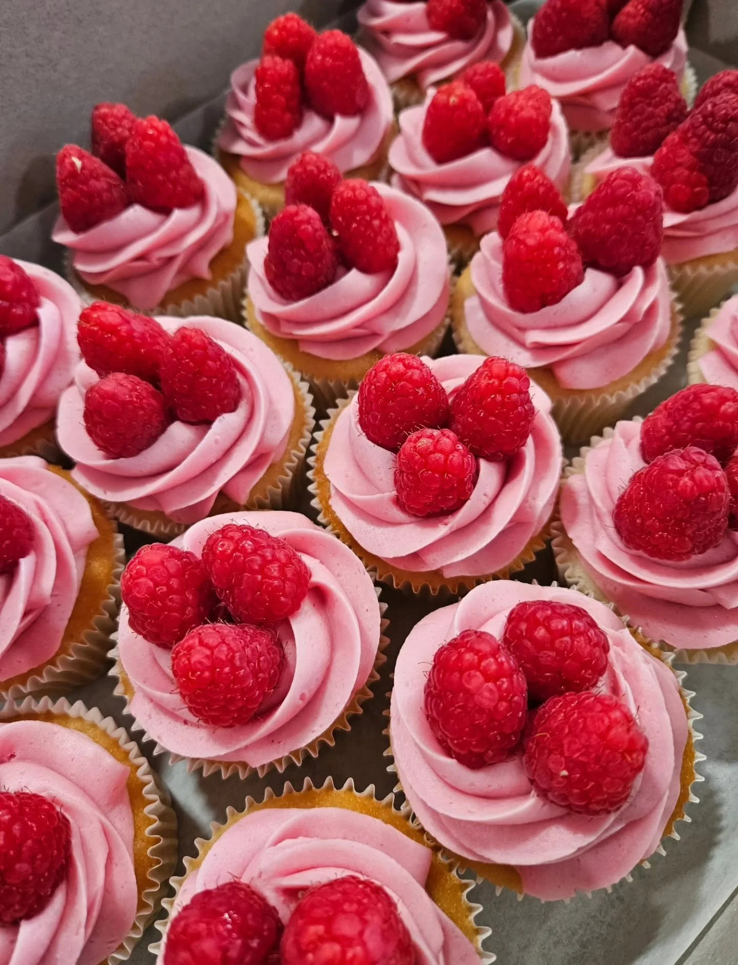 Raspberry Cupcakes.jpg