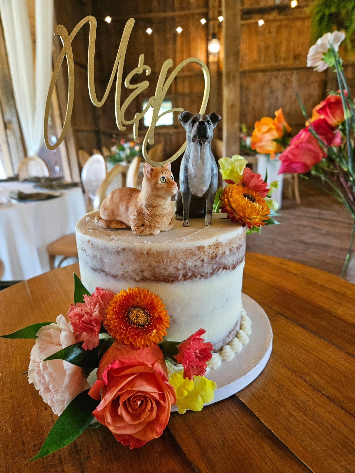 Naked 6 in Cake.jpg