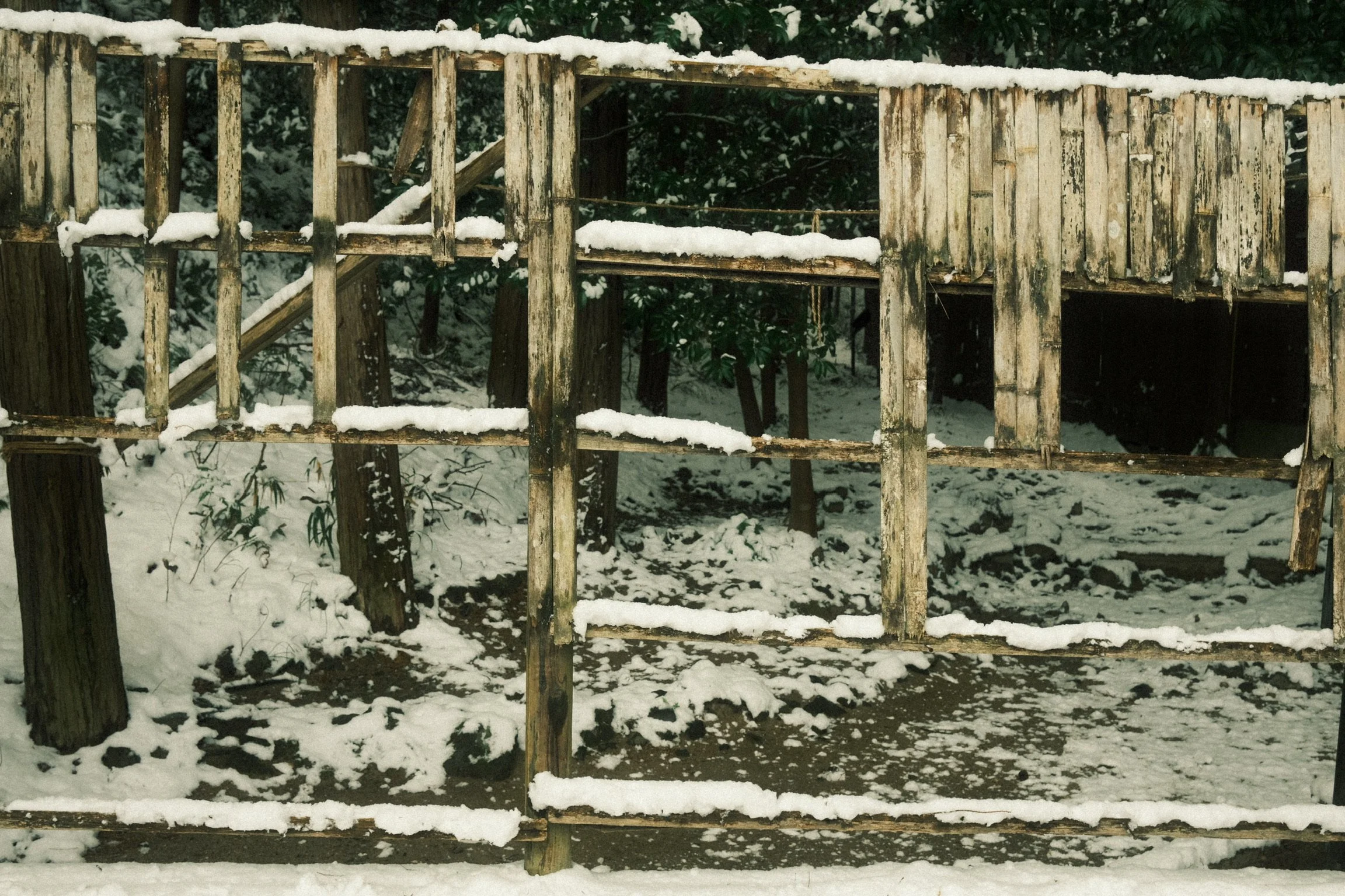 A wooden bridge or platform with snow on it and a staircase in the background, set in a snowy outdoor environment with trees and bushes.