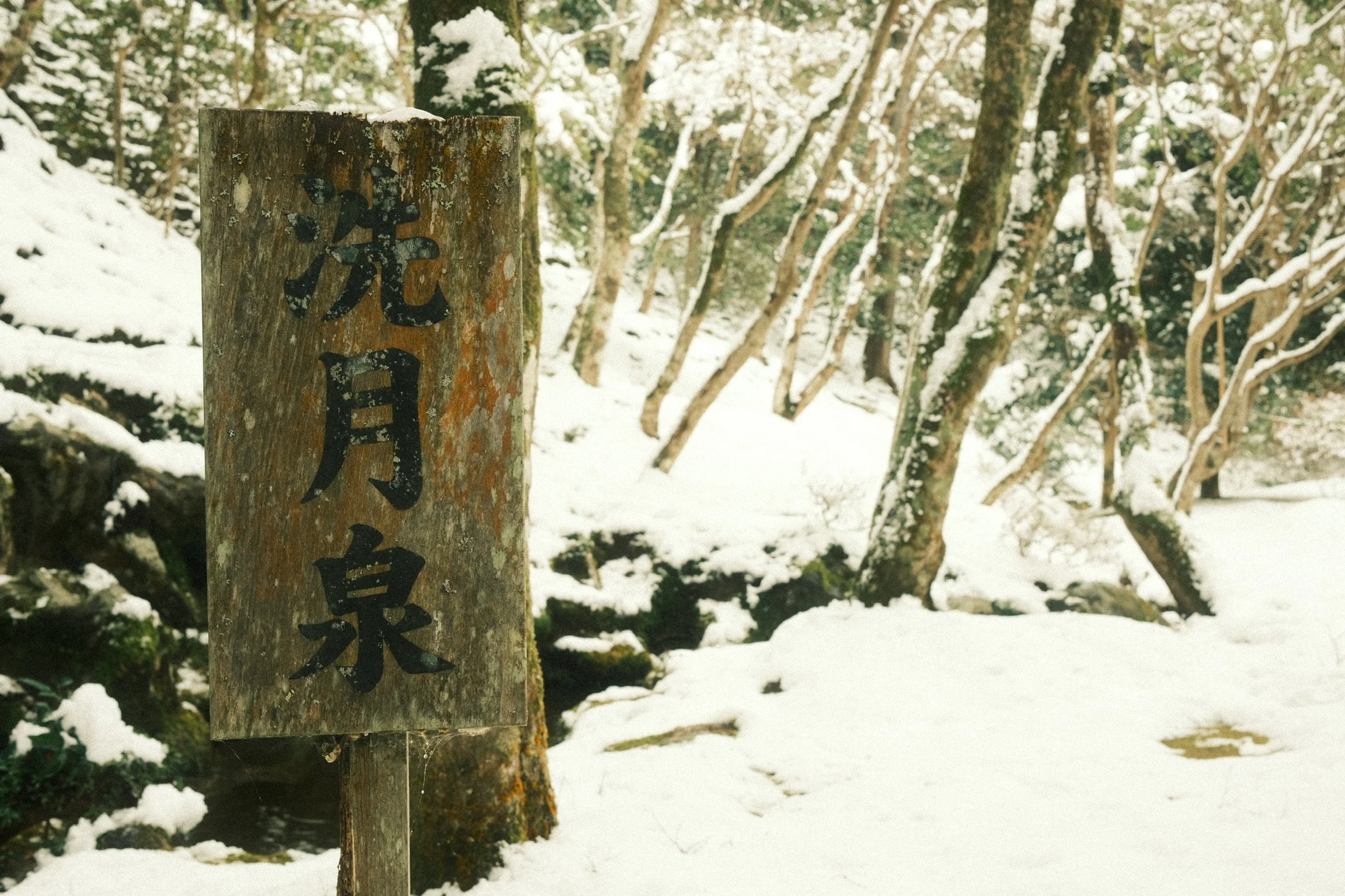 Wooden sign with Japanese characters in a snowy forest with trees in the background.