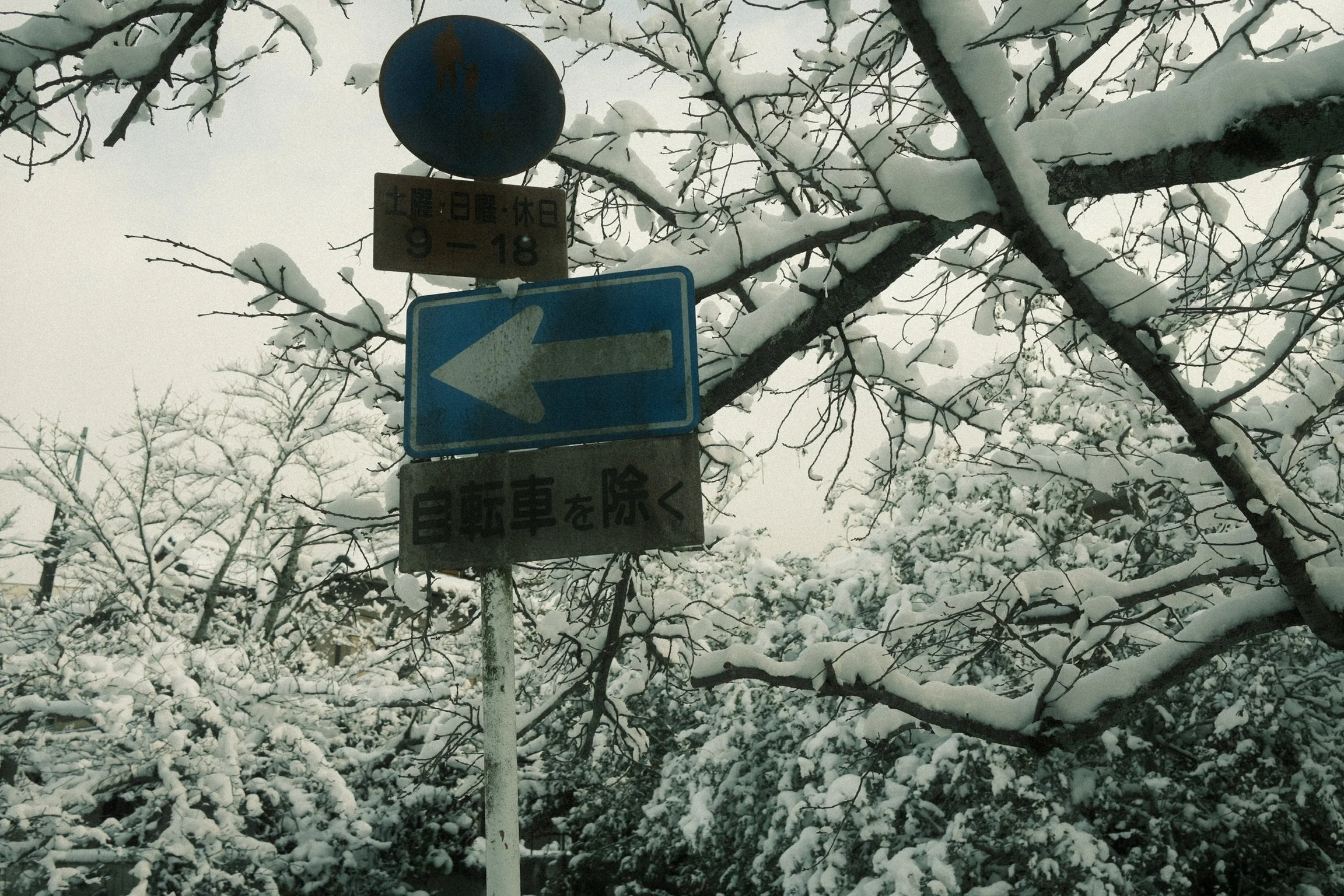 Snow-covered trees and a road sign with Japanese characters and a right arrow, indicating a turn.