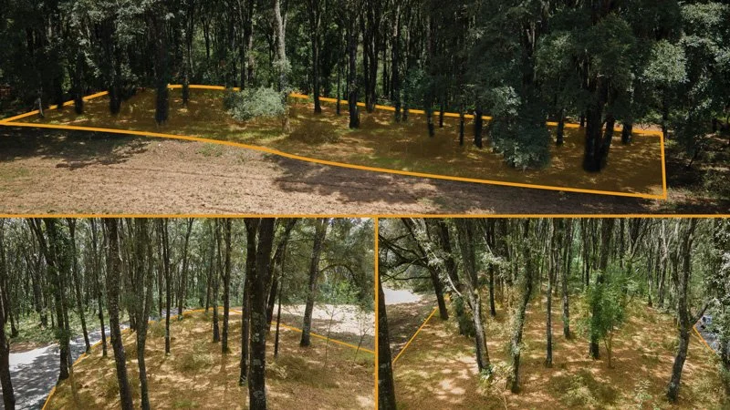 Terreno-Bosque-4-Min.jpg