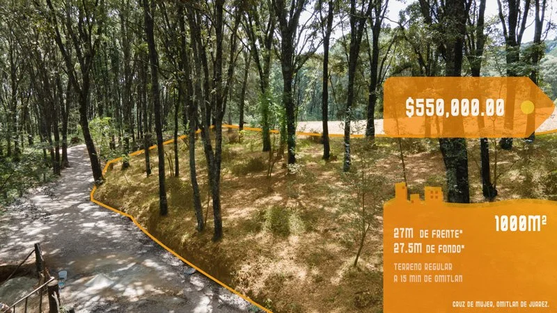 Terreno-Bosque-Min.jpg