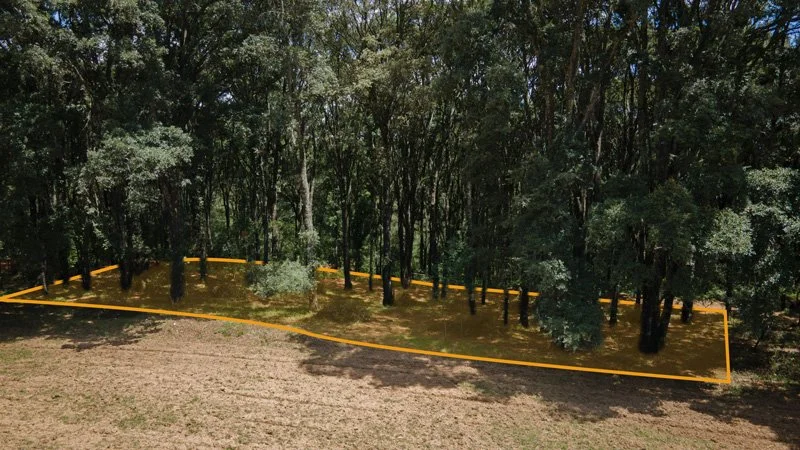 Terreno-Bosque-3-Min.jpg