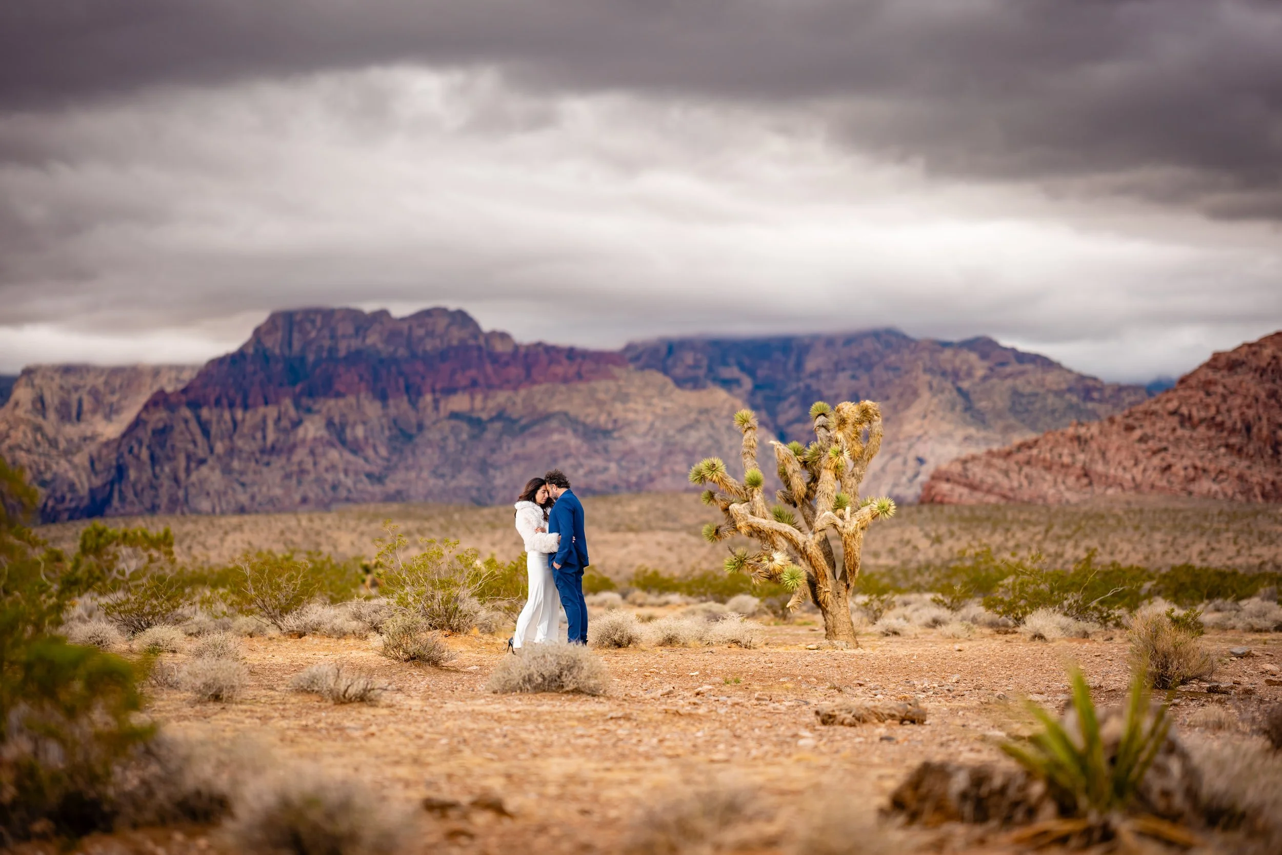 A couple dressed in wedding attire, embracing in a desert landscape with mountains in the background and a large Joshua tree nearby.
