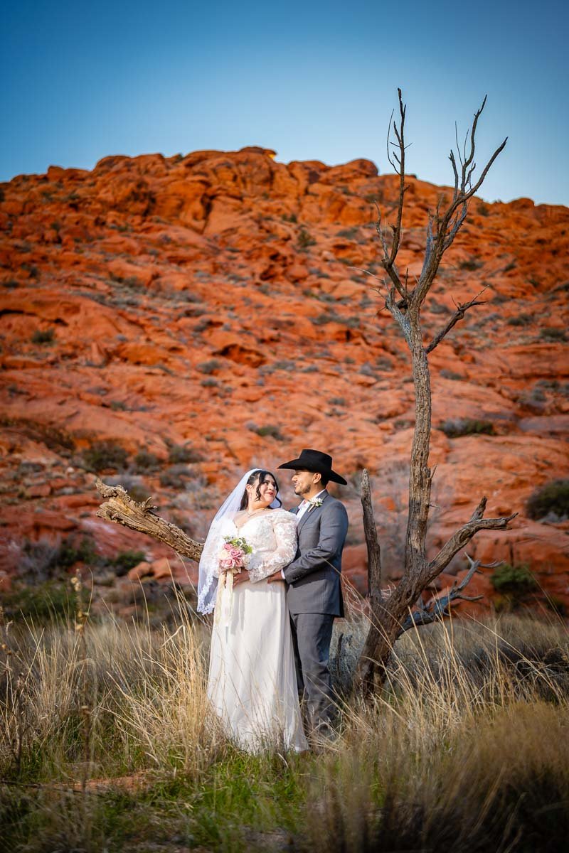 A bride and groom standing in a dry, grassy field next to a leafless tree with a red rocky hillside in the background. The bride wears a white wedding gown and veil, holding a bouquet, and the groom wears a gray suit and a cowboy hat. They look at each other lovingly.
