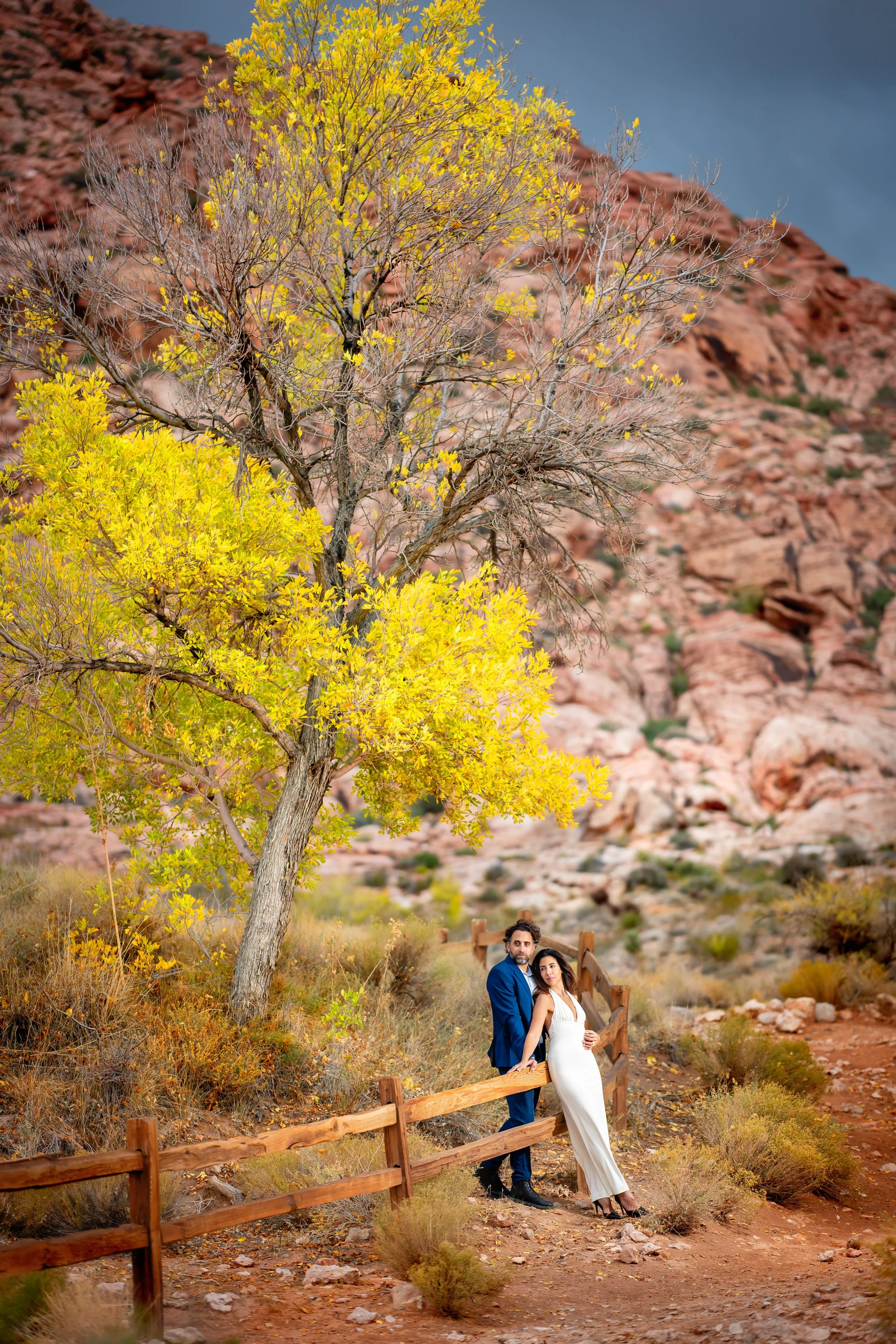 A couple in formal attire standing beside a wooden fence against a backdrop of yellow and green trees, rocky hillside, and cloudy sky.