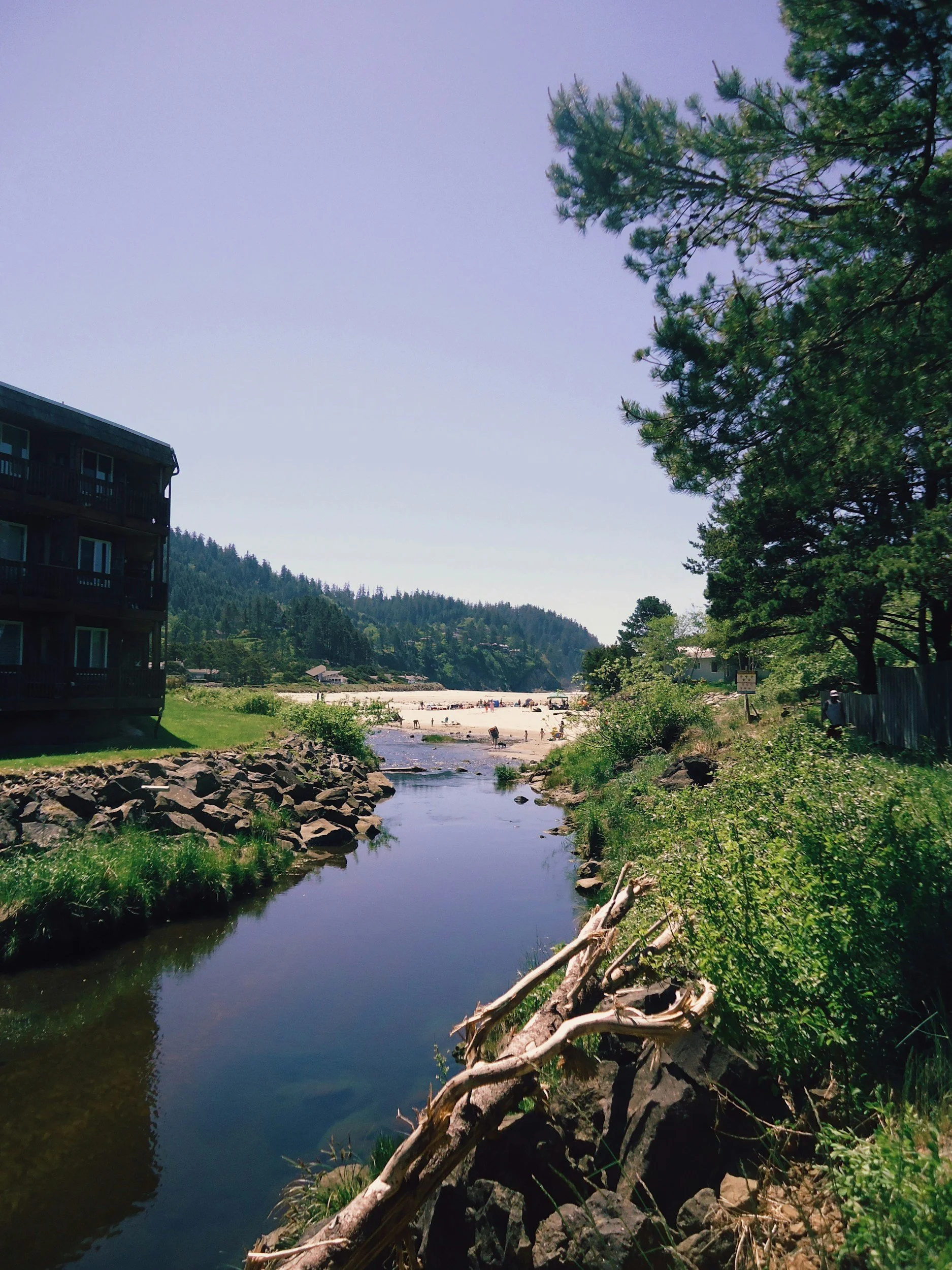 Chehalem Creek