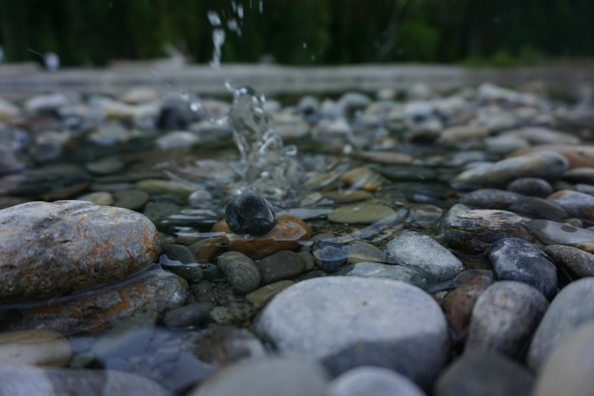 Close-up of a small water stream splashing over a collection of smooth, rounded rocks and pebbles, with blurred green trees in the background.
