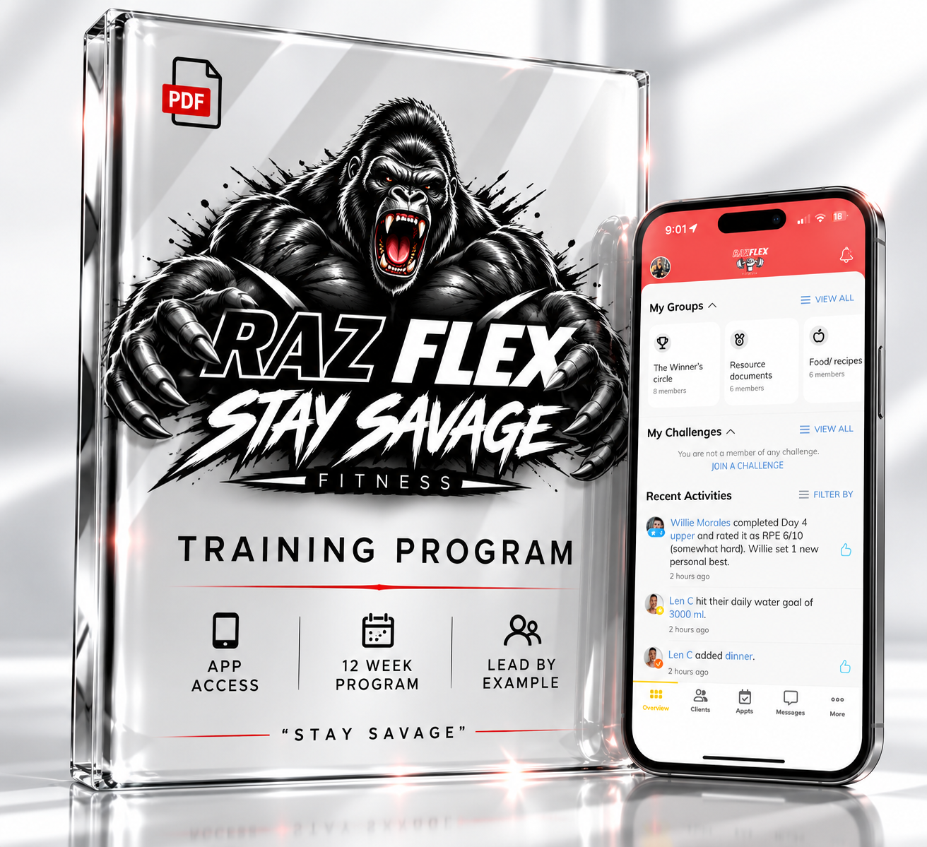 Custom Workout Program