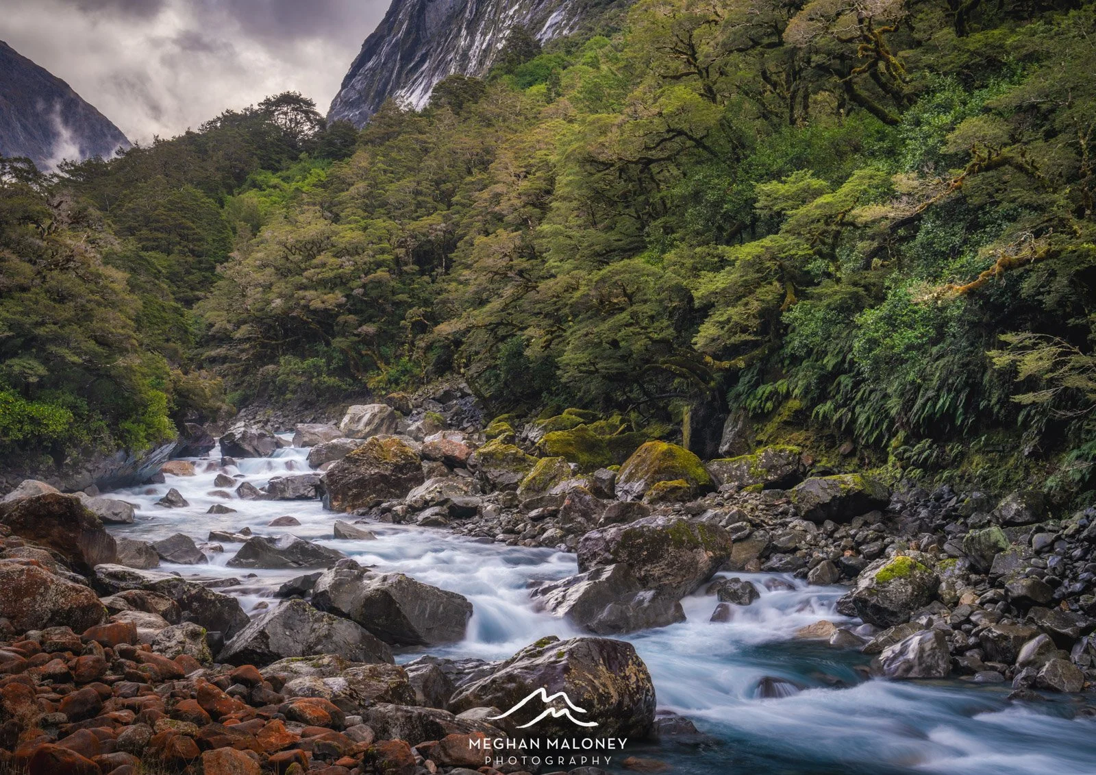 Hollyford River Misty Peaks
