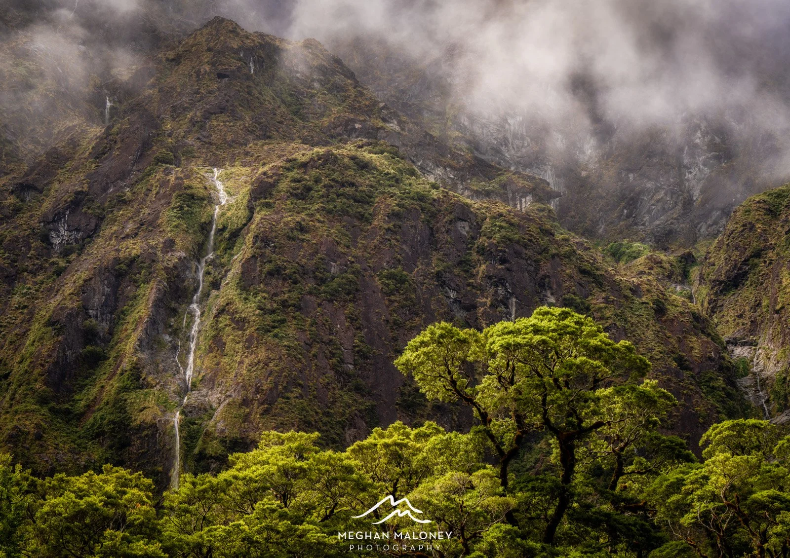 Fiordland Waterfall Forest Mood