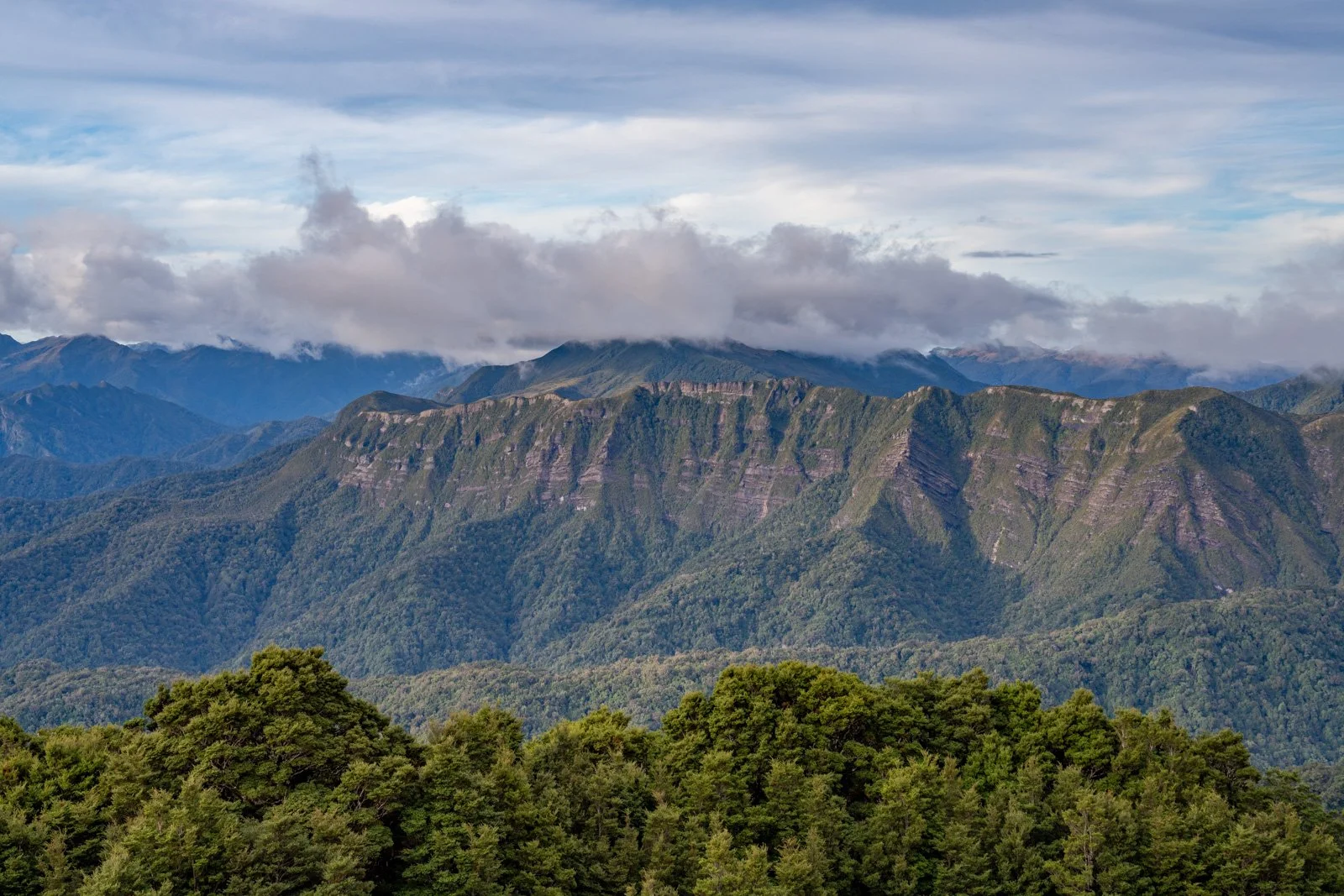 paparoa track escarpment evening moonlight tops