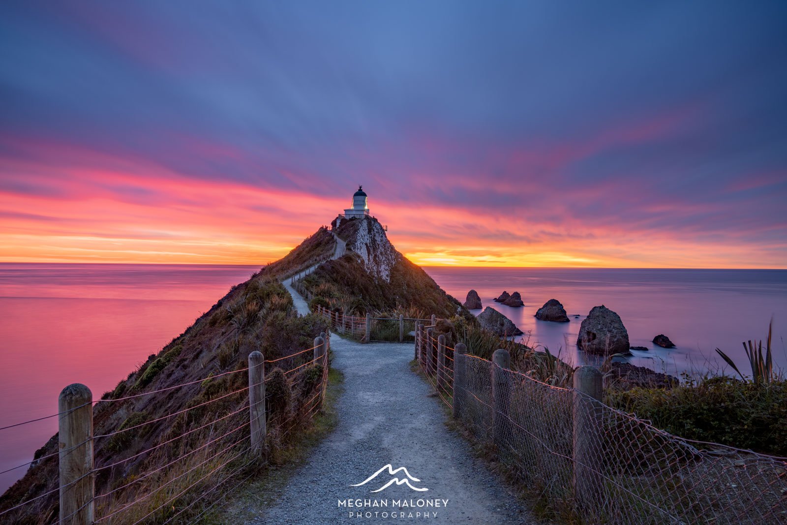 Nugget Point Incredible Dawn