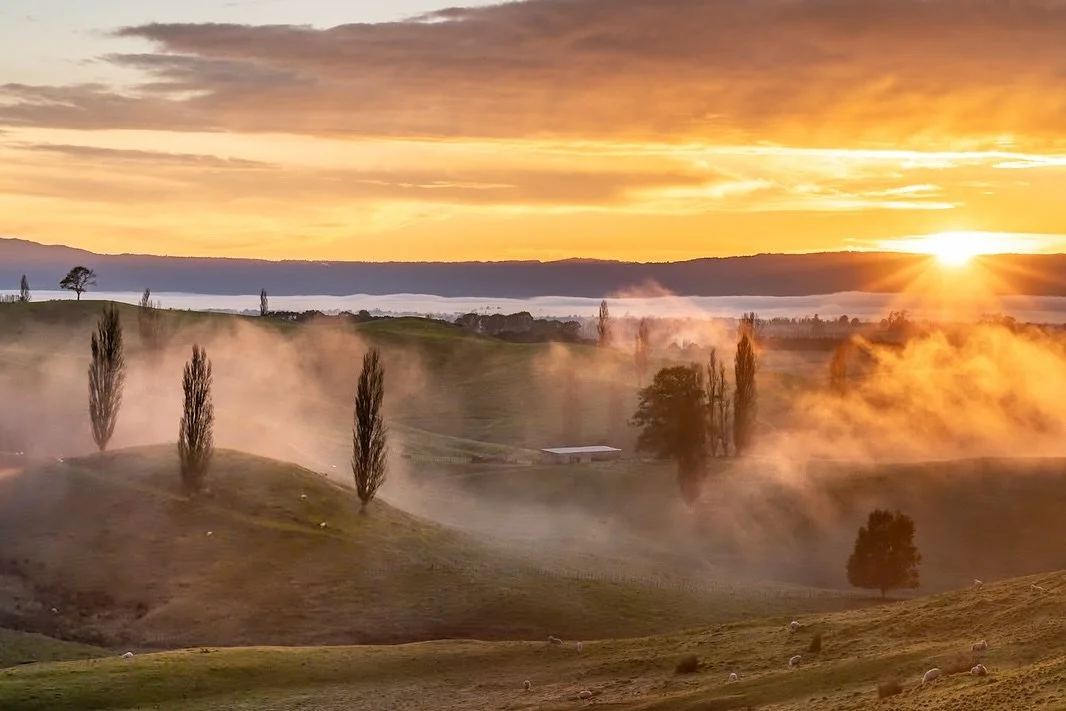Want to capture a Golden Tuscan sunrise scene like this in the Waikato?

Join me on Sunday 7 September 5.30-7.30am, places are limited to 6 spots, just $30 per person,  hope to see you there! Sign up via the link in my bio ➡️

https://scene.sonyanz.c