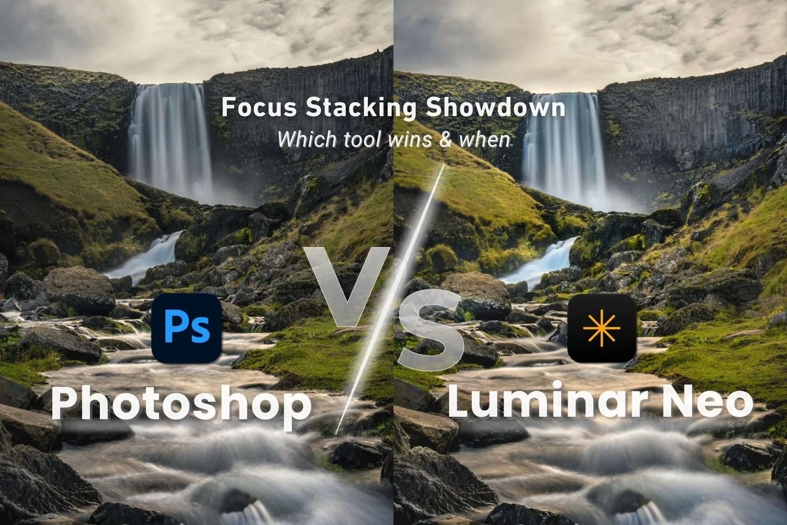 Focus Stacking Showdown: Photoshop vs Luminar Neo