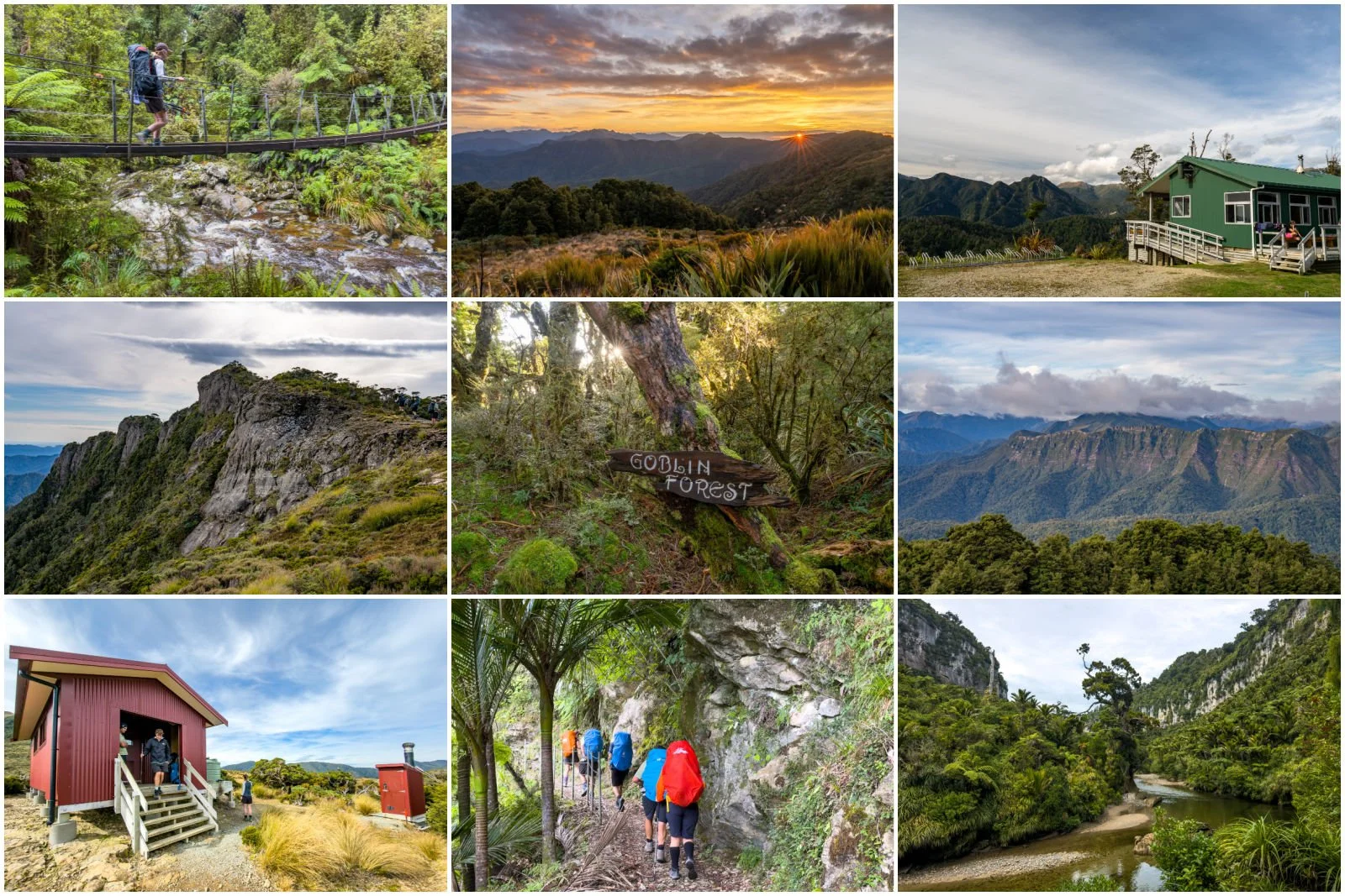 Hiking the Paparoa Track: 4 days of ridgelines, rainforest and remarkable West Coast views