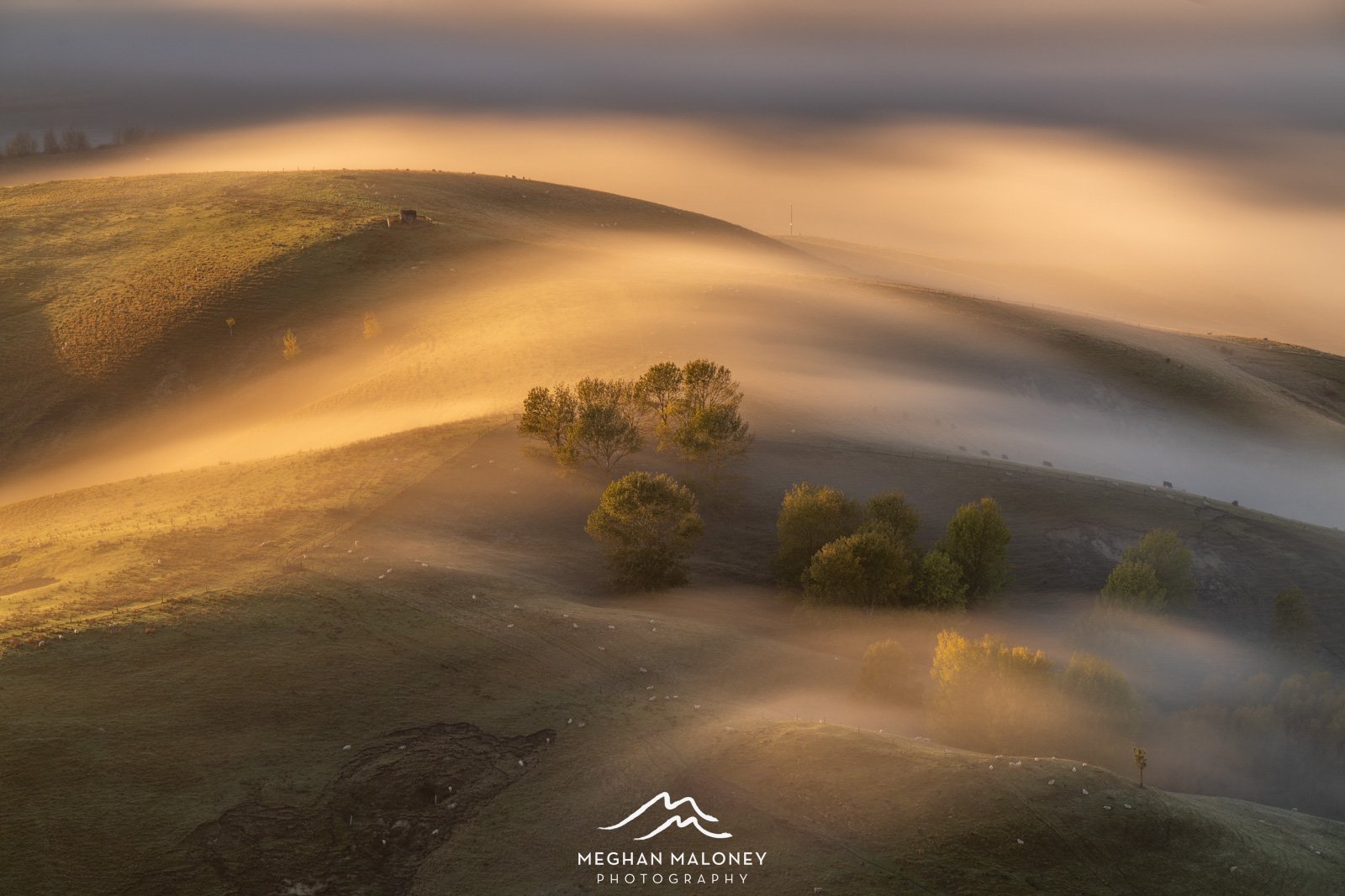 award winning image te mata peak fog